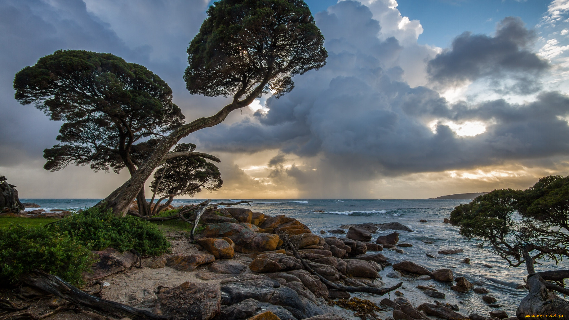 природа, побережье, деревья, камни, волны, горизонт, берег, океан