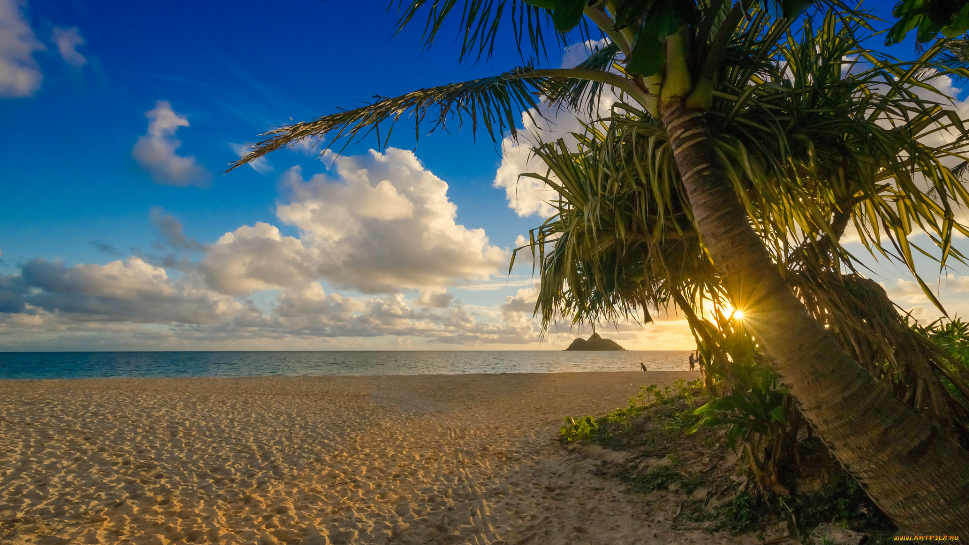 природа, тропики, горизонт, солнце, пальма, пляж, океан