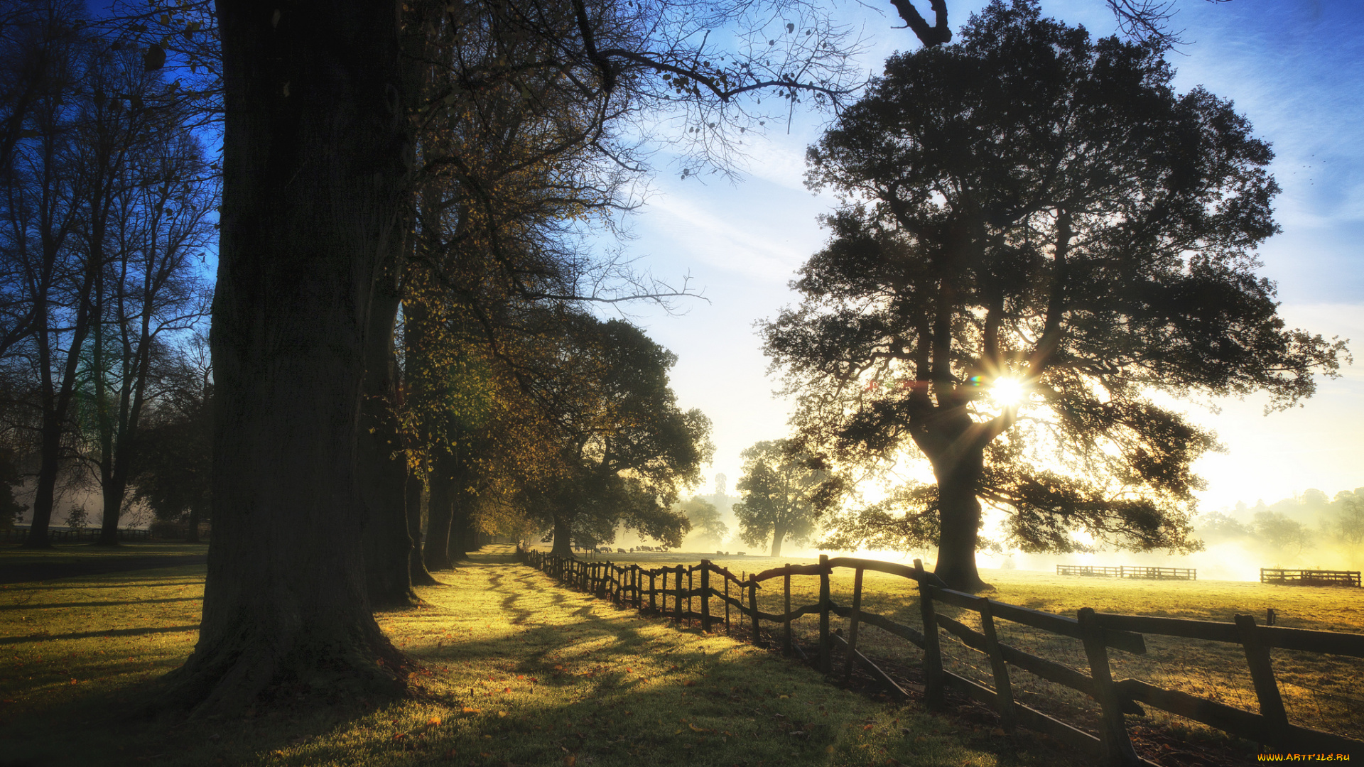 природа, восходы, закаты, дымка, свет, деревья, забор, утро