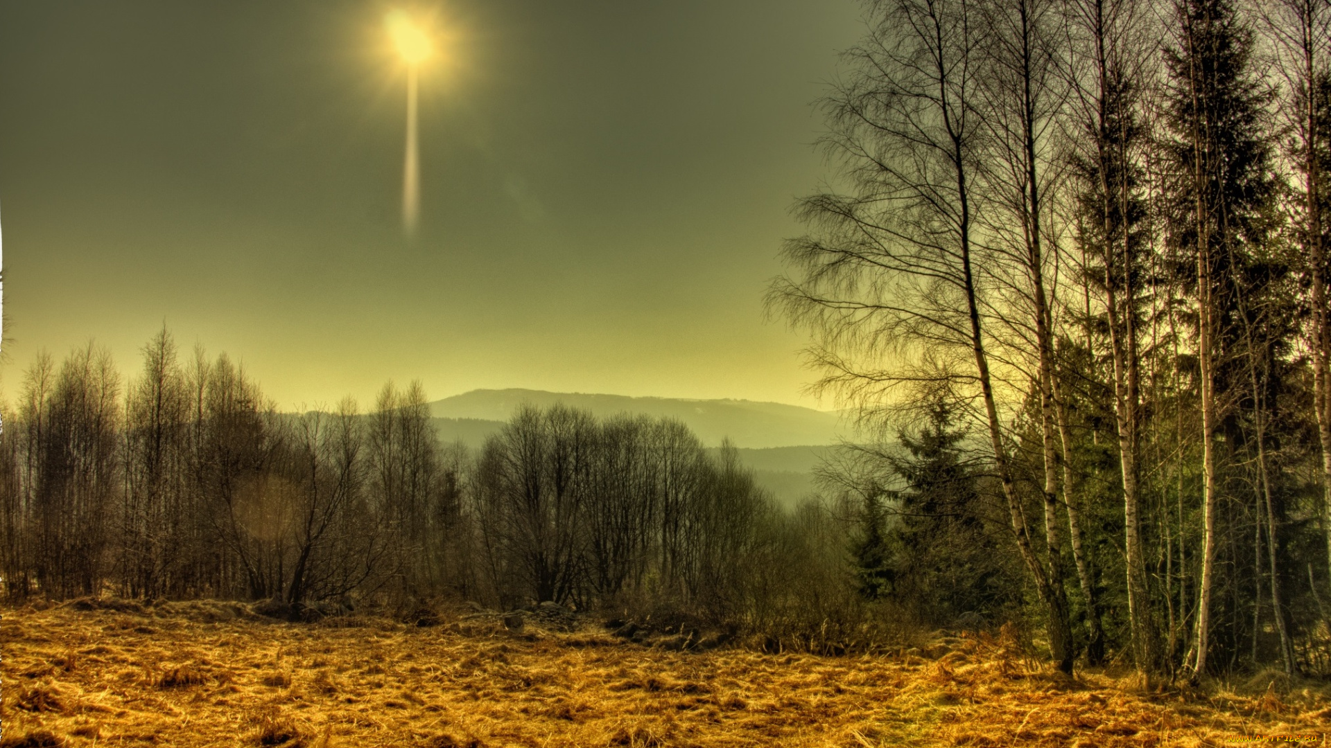 природа, восходы, закаты, лес, солнце, трава, поле