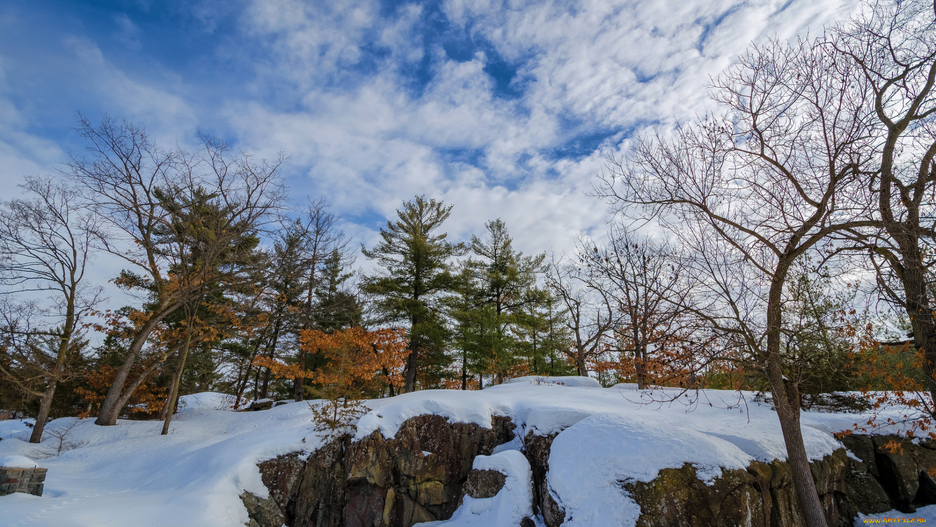 природа, зима, снег, скалы, лес