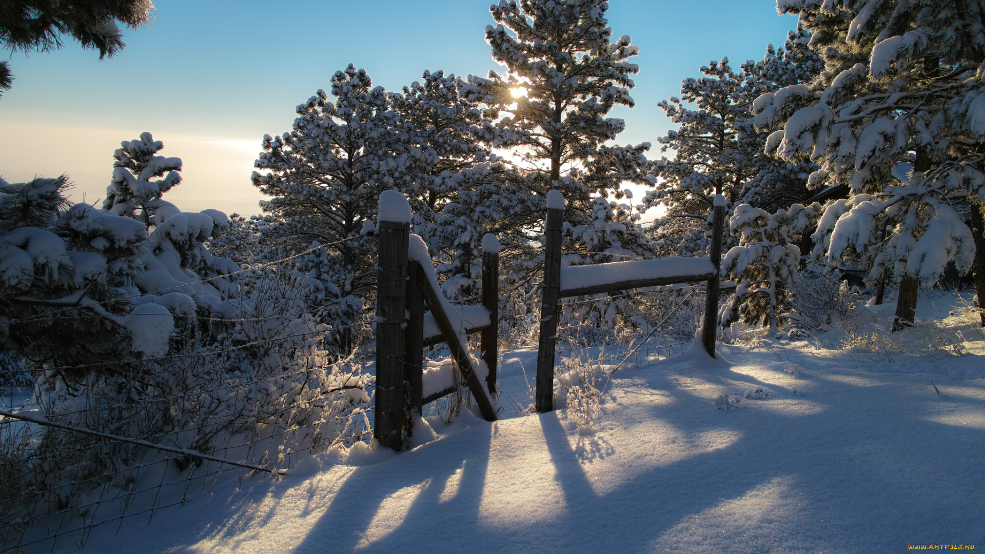 природа, зима, сугробы, забор, свет, лес, снег