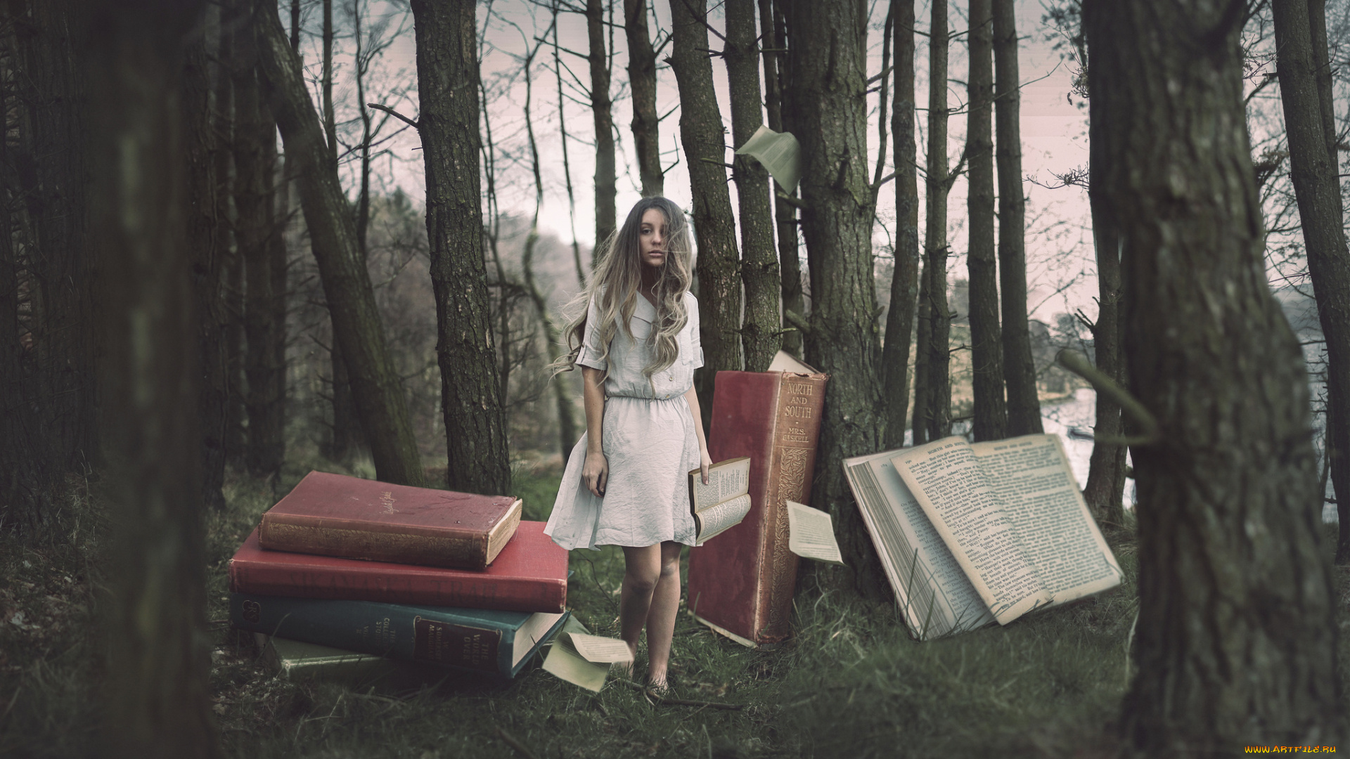 разное, компьютерный, дизайн, лес, книги, девушка