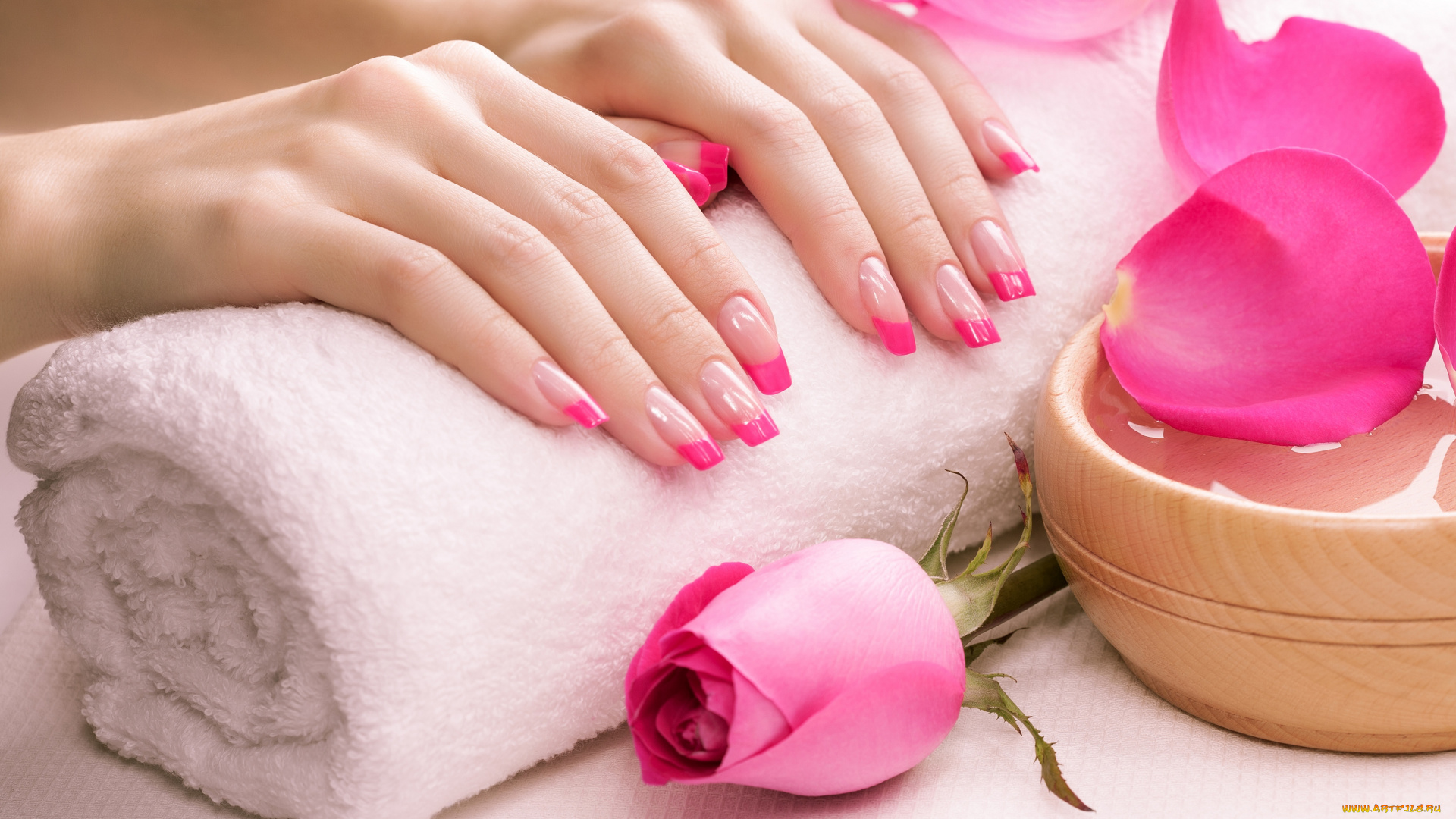 разное, руки, маникюр, полотенце, лепестки, роза