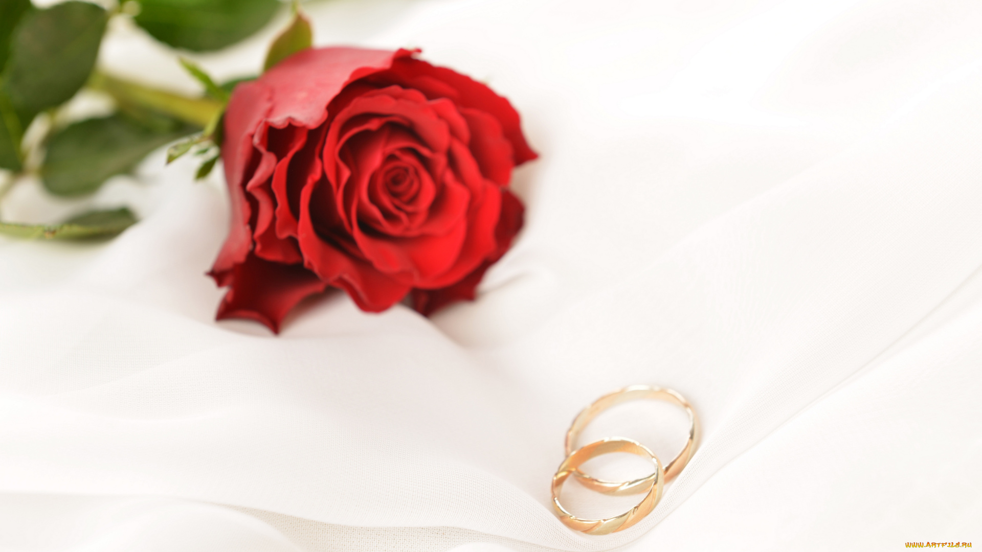 разное, украшения, , аксессуары, , веера, обручальные, кольца, цветы