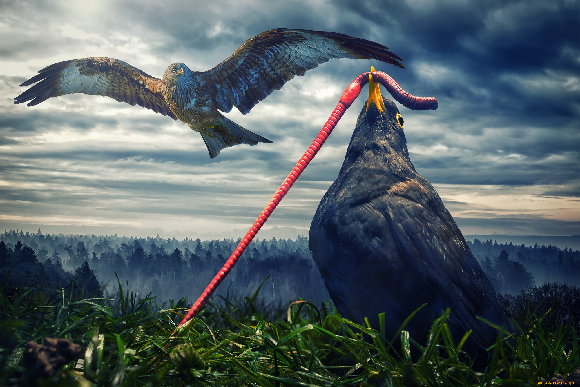 разное, компьютерный, дизайн, червяк, ворон, птицы