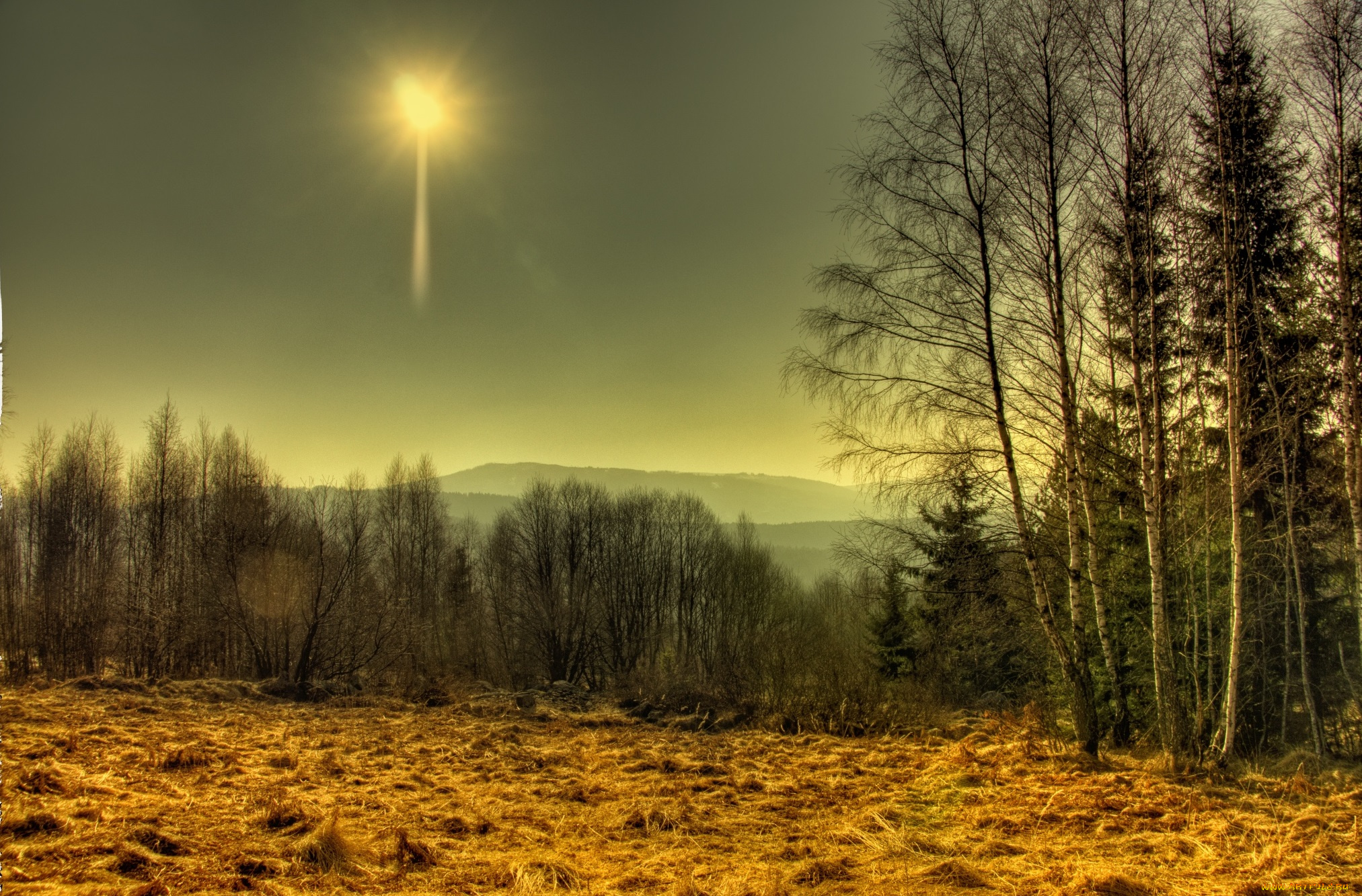 природа, восходы, закаты, лес, солнце, трава, поле