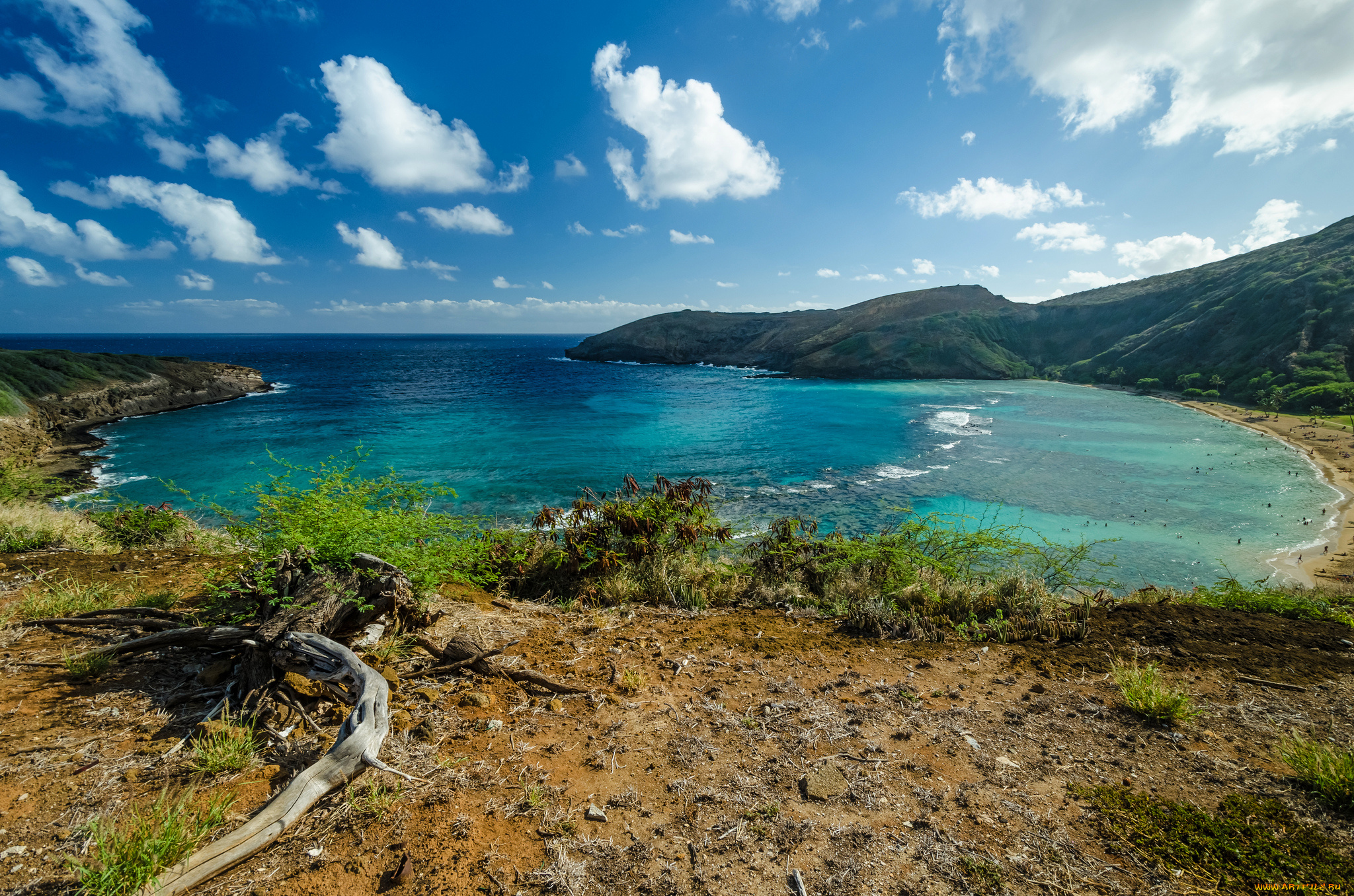 природа, побережье, бухта, океан, пляж