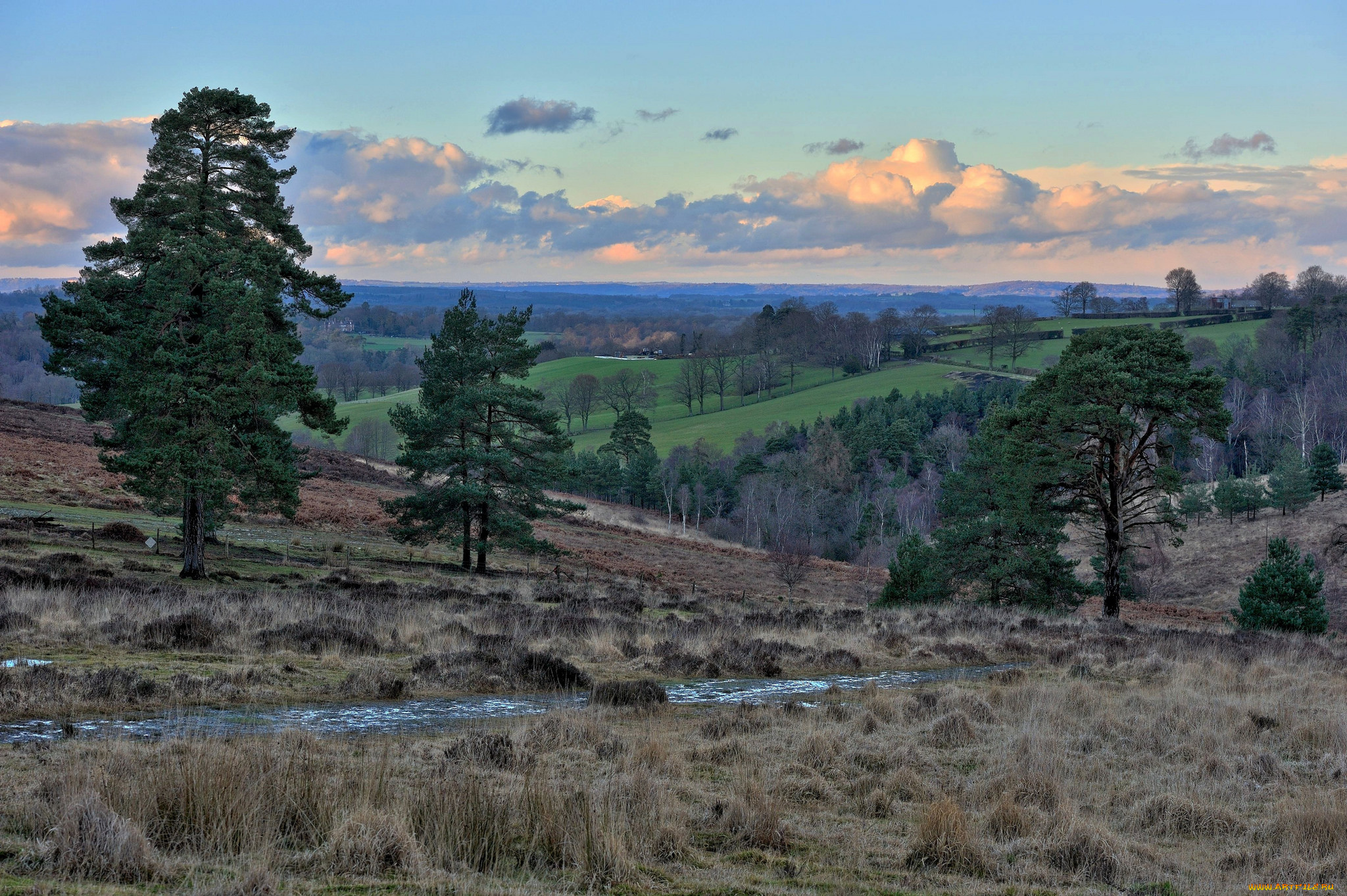 природа, пейзажи, лес, ручей, холмы, равнина, облака