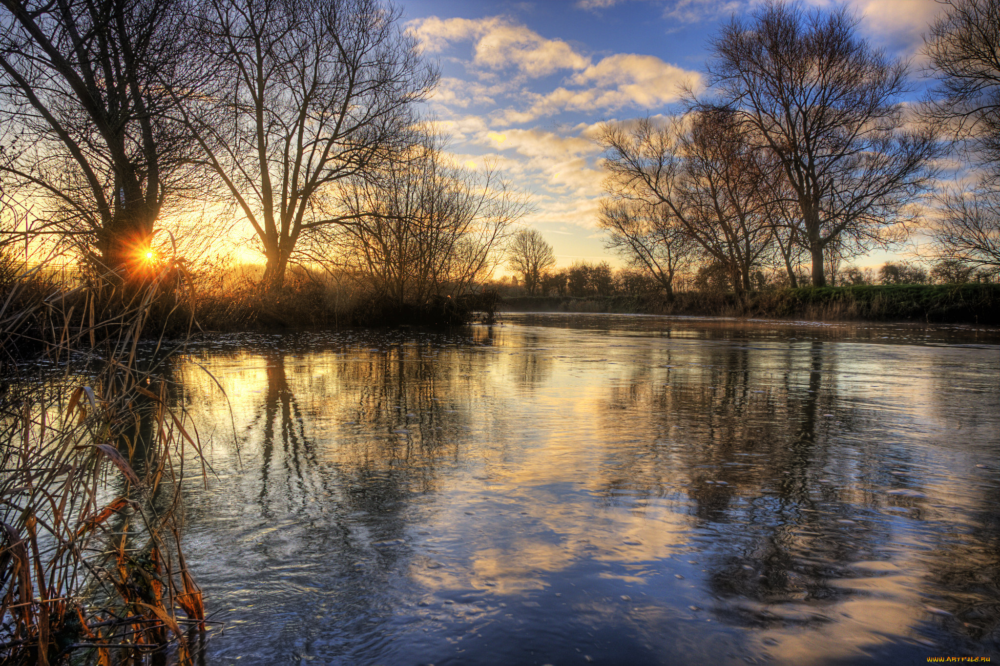природа, восходы, закаты, растительность, берег, река, свет, солнце
