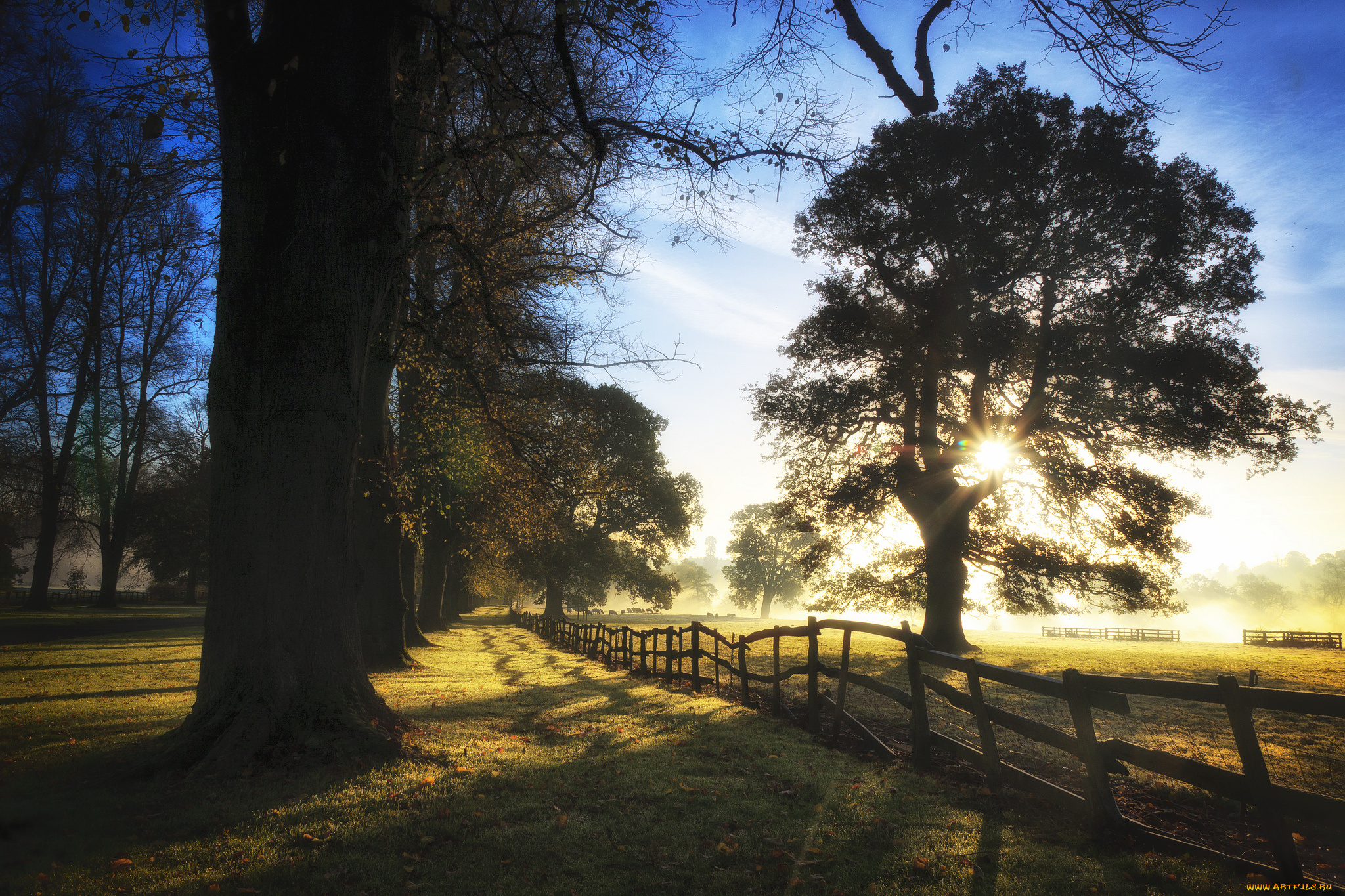природа, восходы, закаты, дымка, свет, деревья, забор, утро
