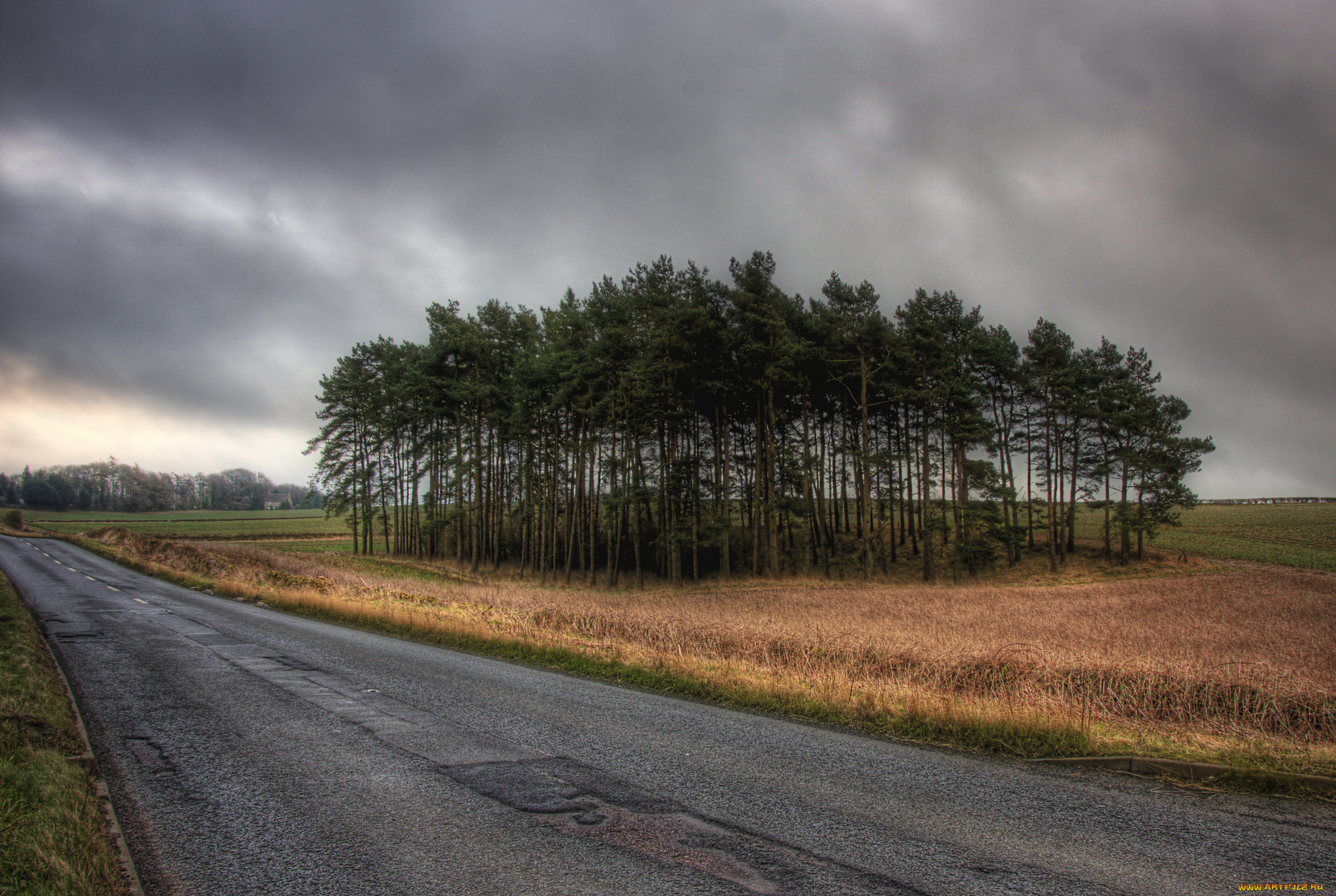 природа, дороги, поле, роща, дорога