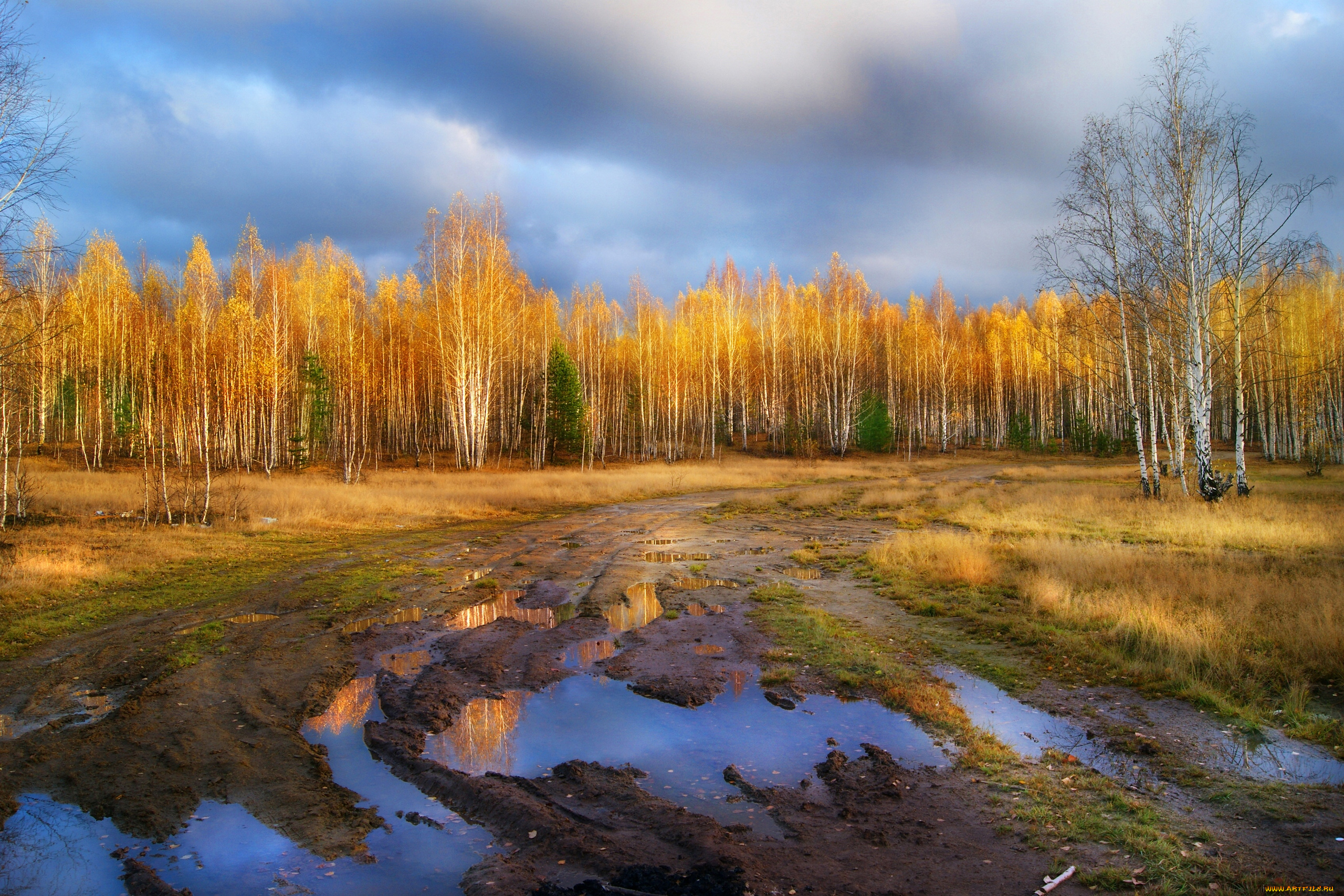 природа, дороги, осень
