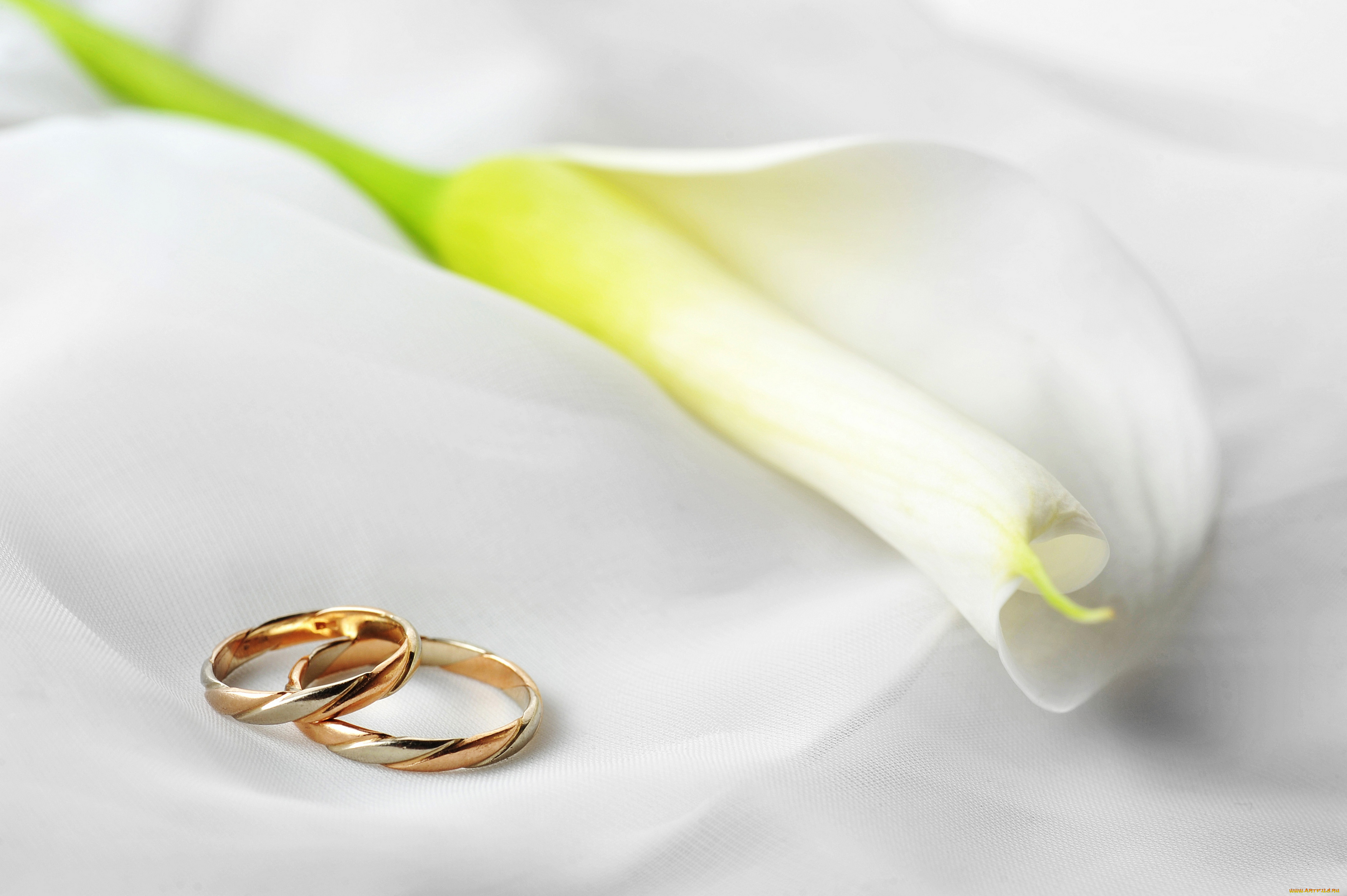 разное, украшения, , аксессуары, , веера, цветы, обручальные, кольца