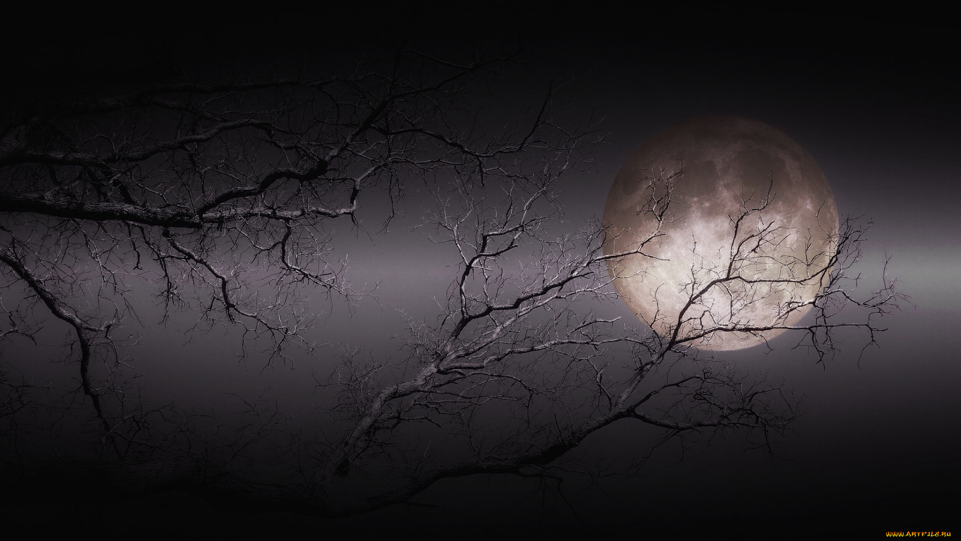 космос, луна, светило, ночь