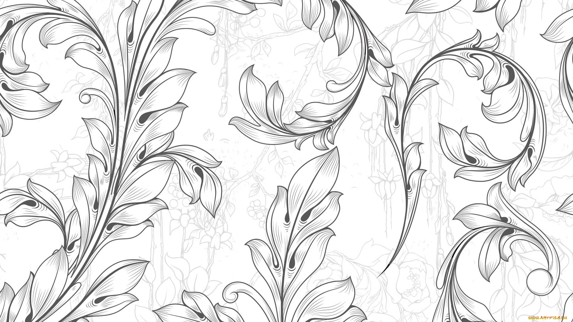 векторная, графика, цветы, , flowers, фон, лепестки, стебель, цветы