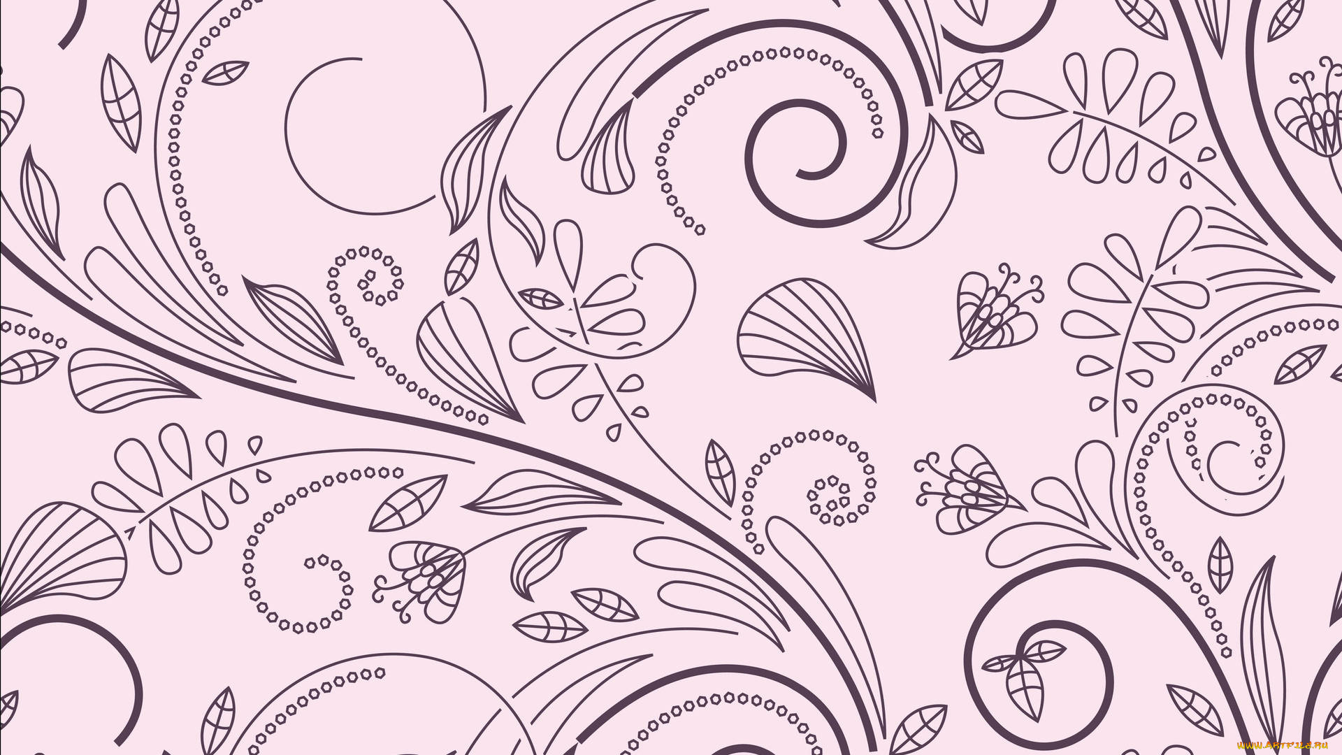 векторная, графика, цветы, , flowers, фон, лепестки, цветы, стебель