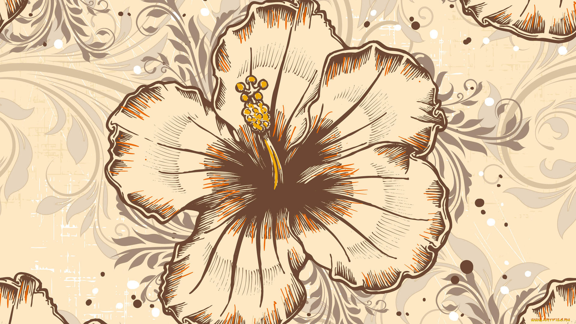 векторная, графика, цветы, , flowers, лепестки, фон, цветы