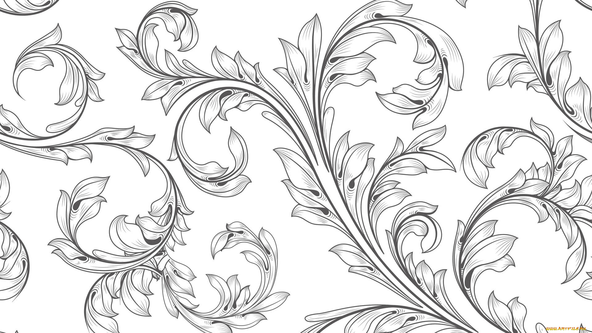 векторная, графика, цветы, , flowers, стебель, фон, лепестки, цветы