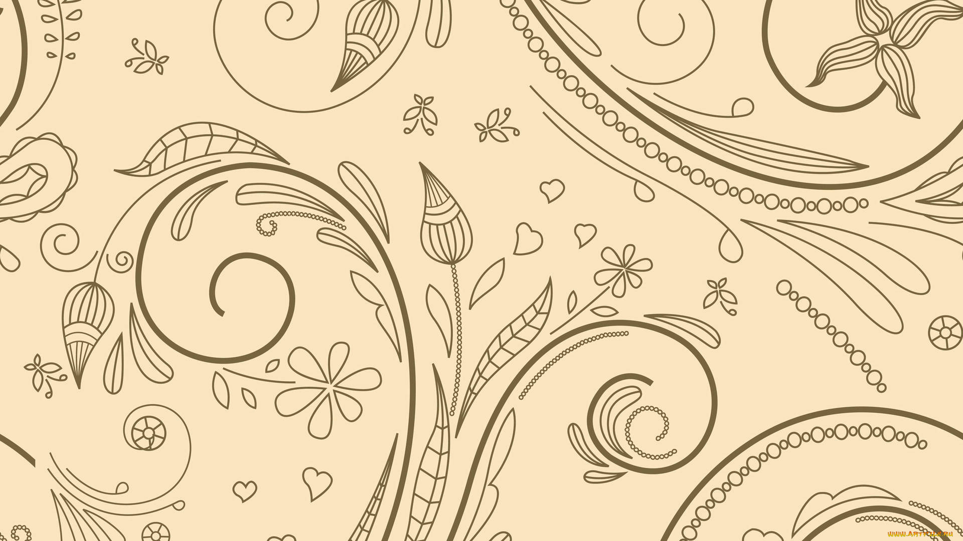 векторная, графика, цветы, , flowers, стебель, фон, лепестки, цветы