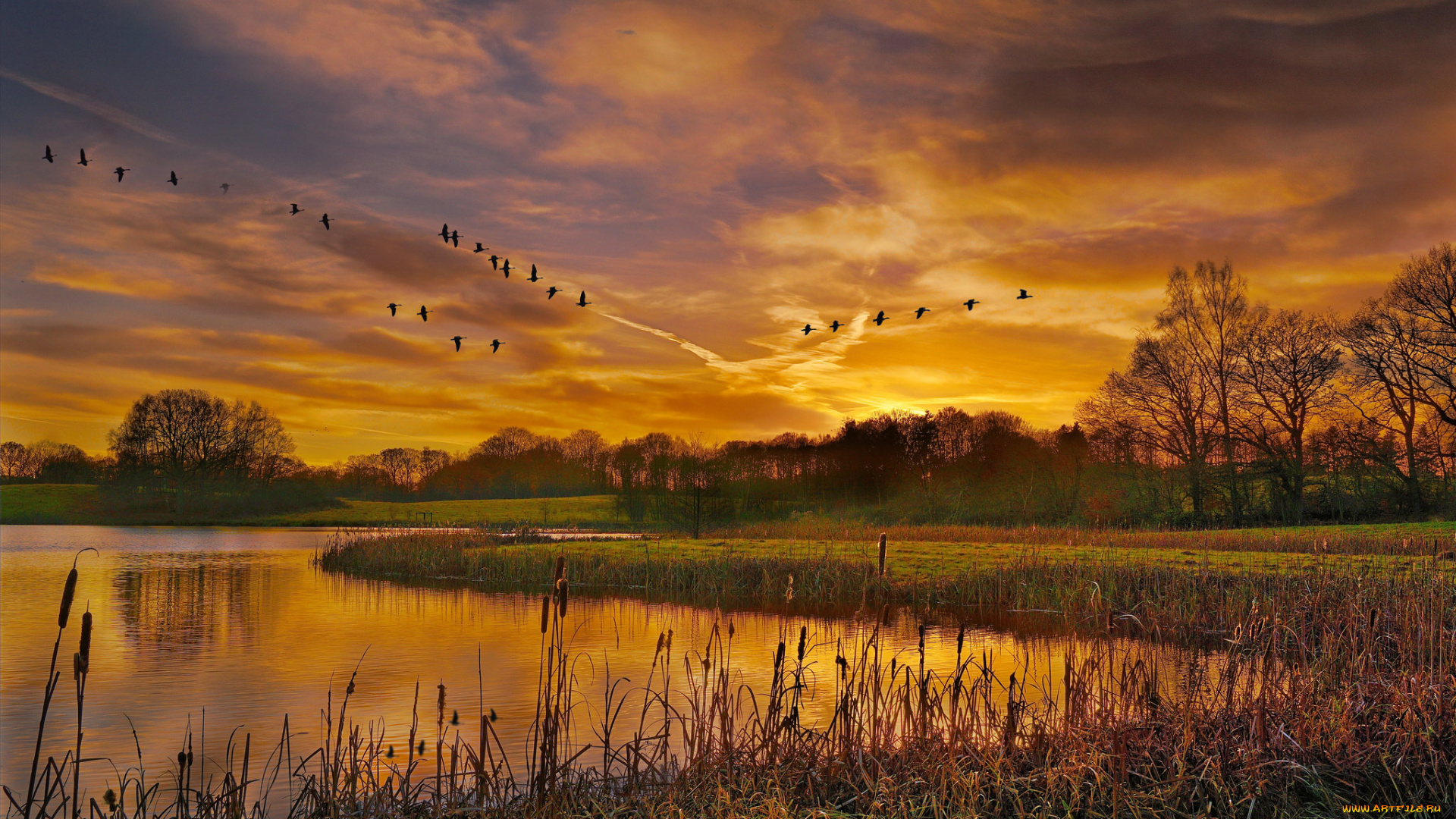 природа, восходы, закаты, рассвет