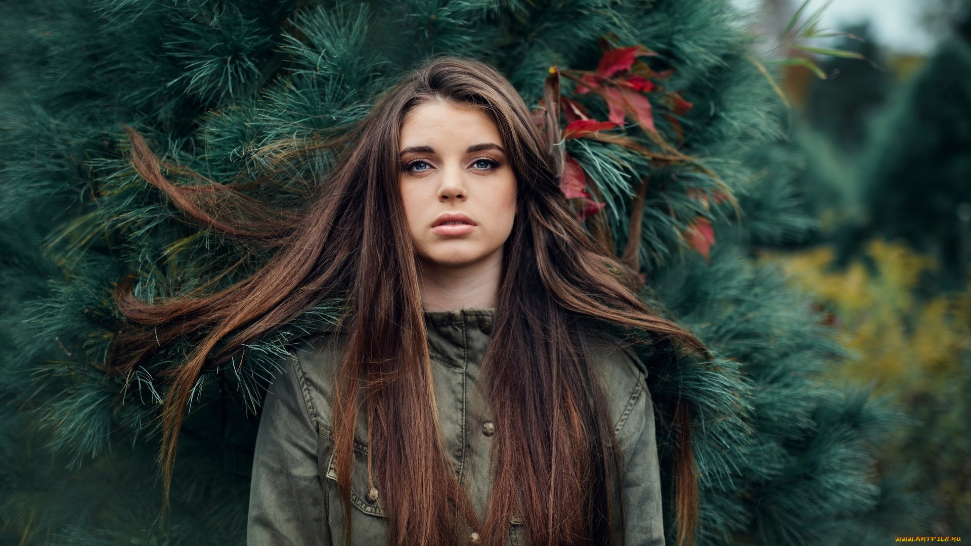 девушка, девушки, -unsort, , брюнетки, темноволосые, модель