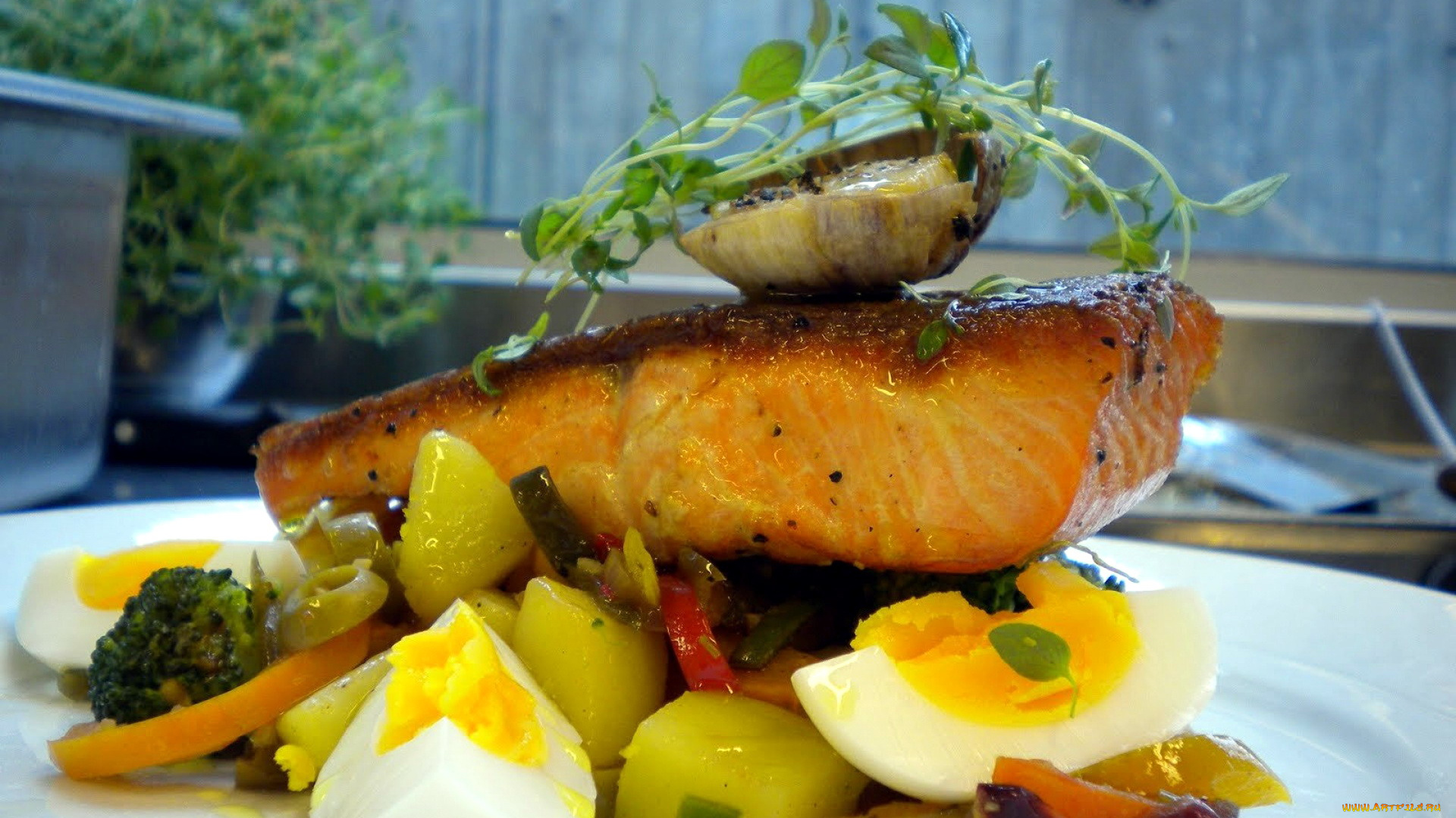 еда, рыбные, блюда, , с, морепродуктами, форель