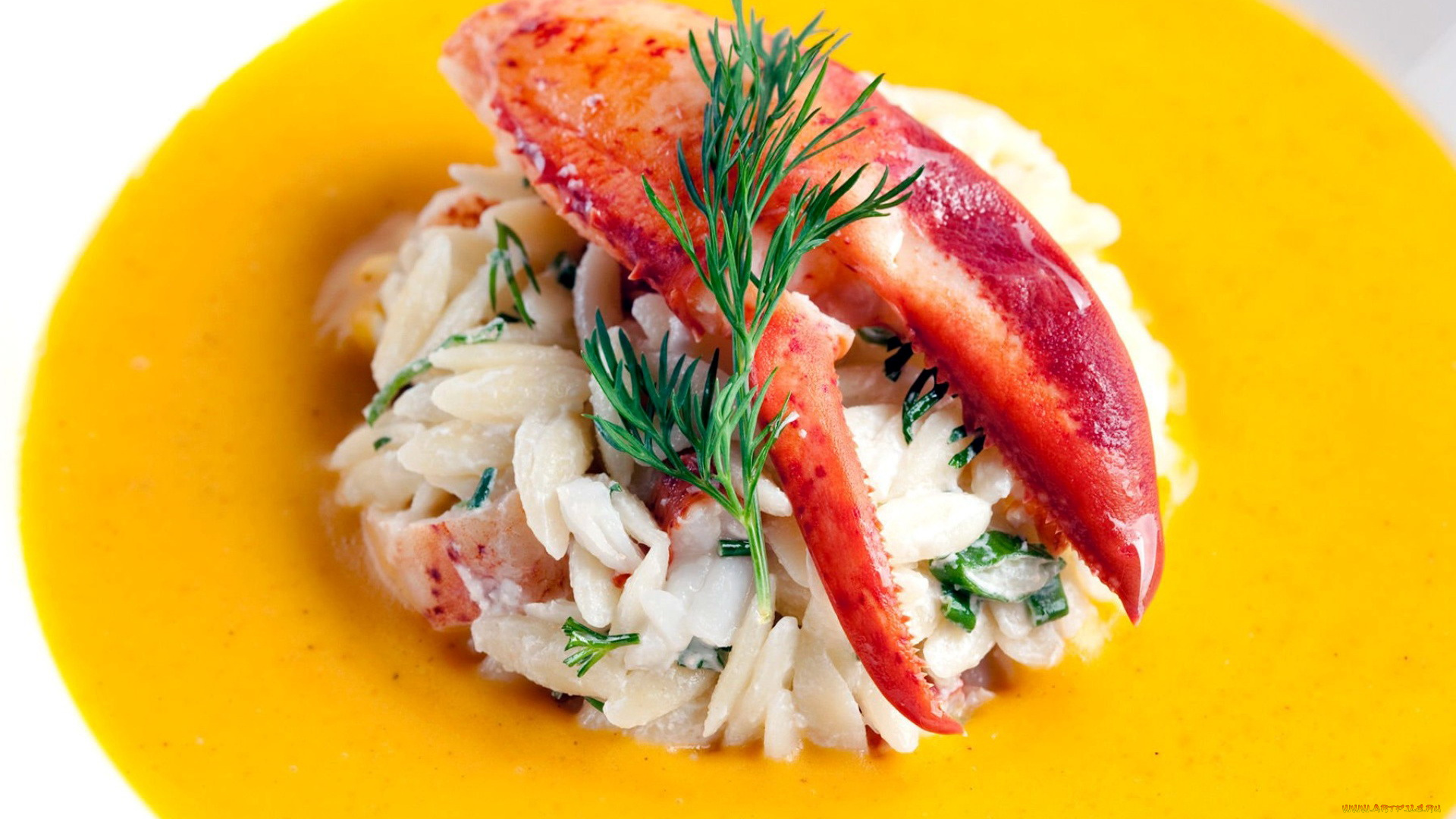 еда, рыбные, блюда, , с, морепродуктами, лобстер