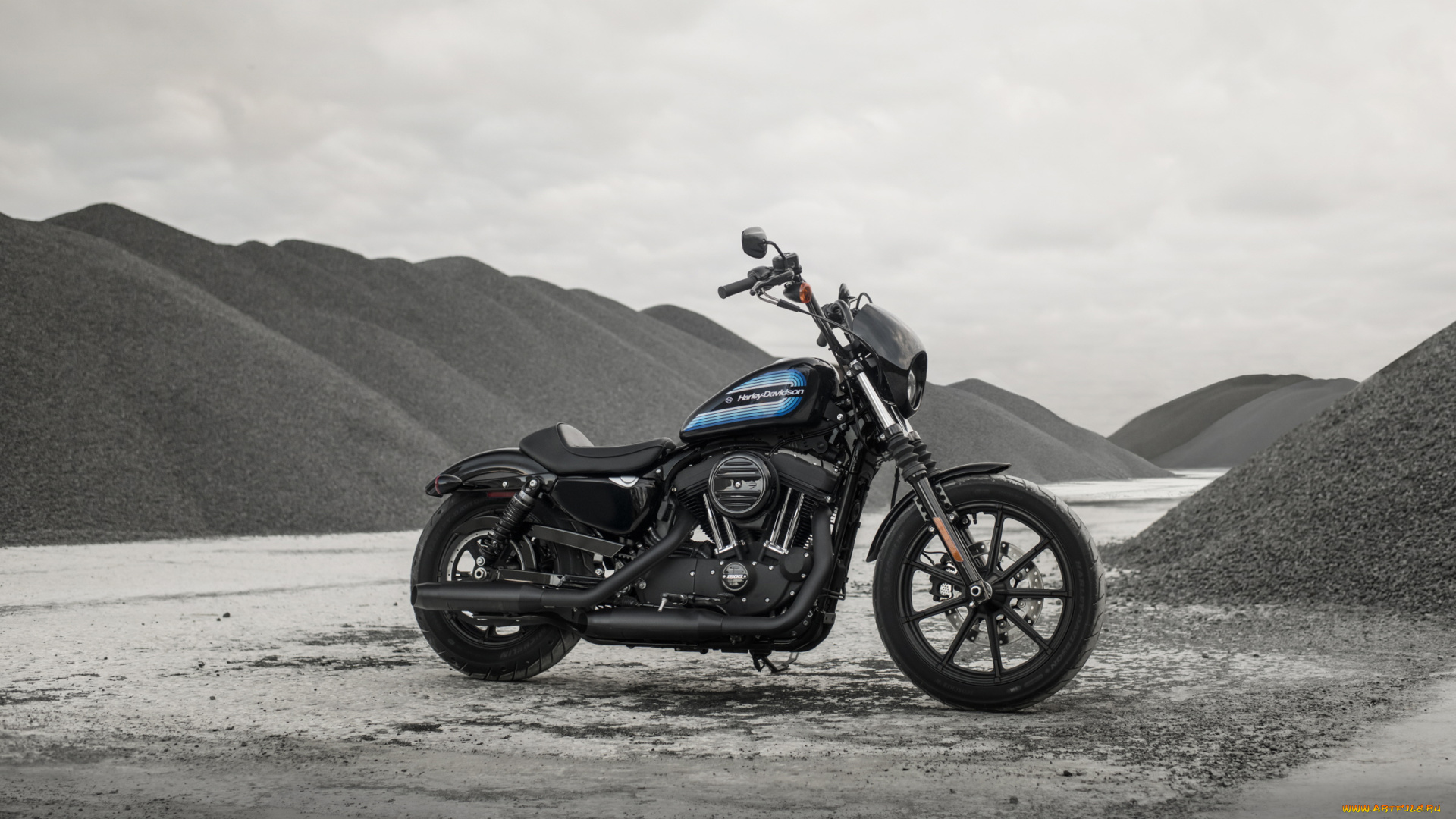 harley-davidson, iron, 1200, , 2018, мотоциклы, harley-davidson, harley, davidson, iron, 1200, bikes, харлей, дэвидсон, мотоцикл