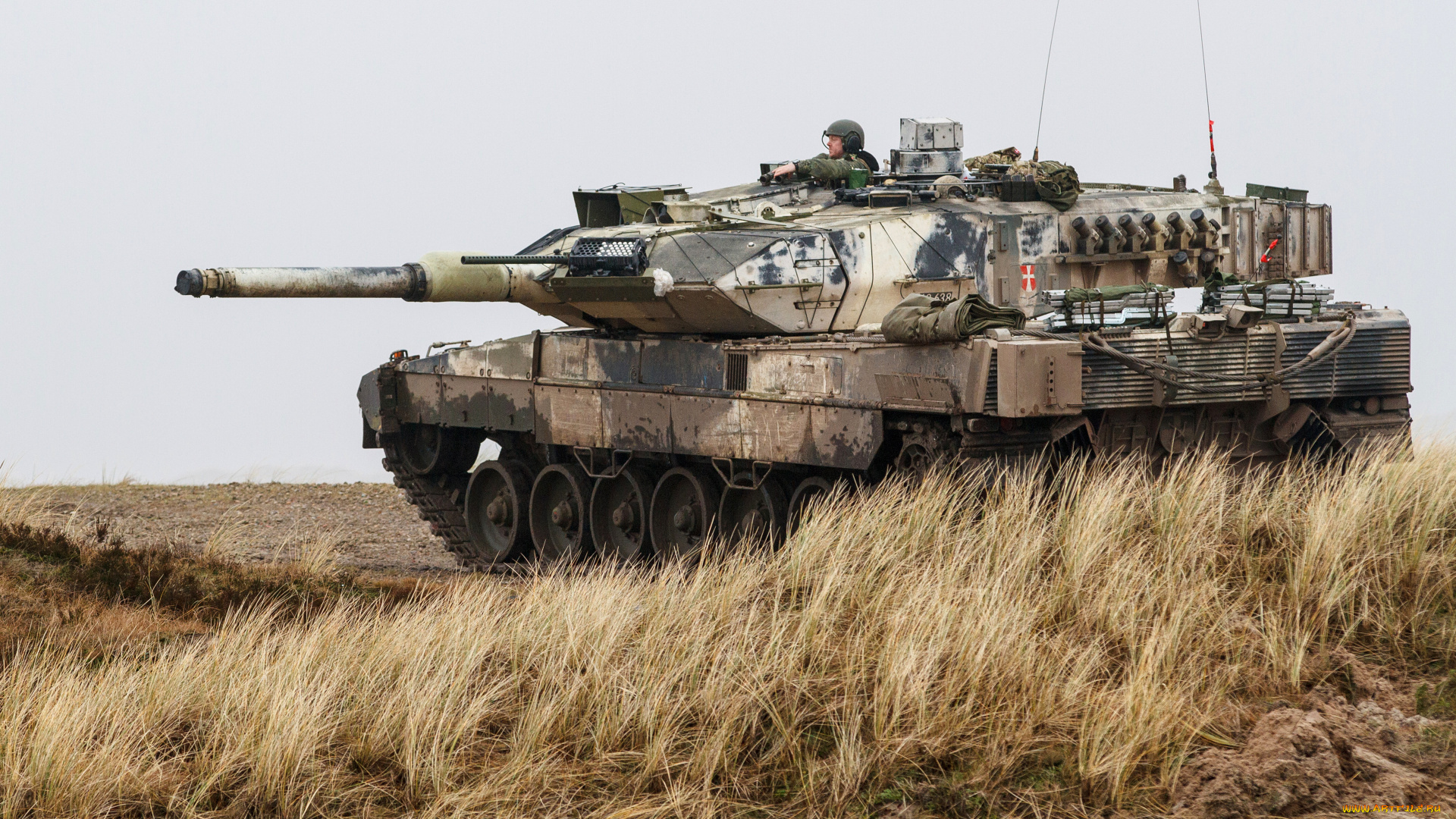 leopard, 2a5dk, , дания, техника, военная, техника, leopard, 2a5dk, леопард, 2, 4k, royal, danish, army, танк, королевская, датская, армия