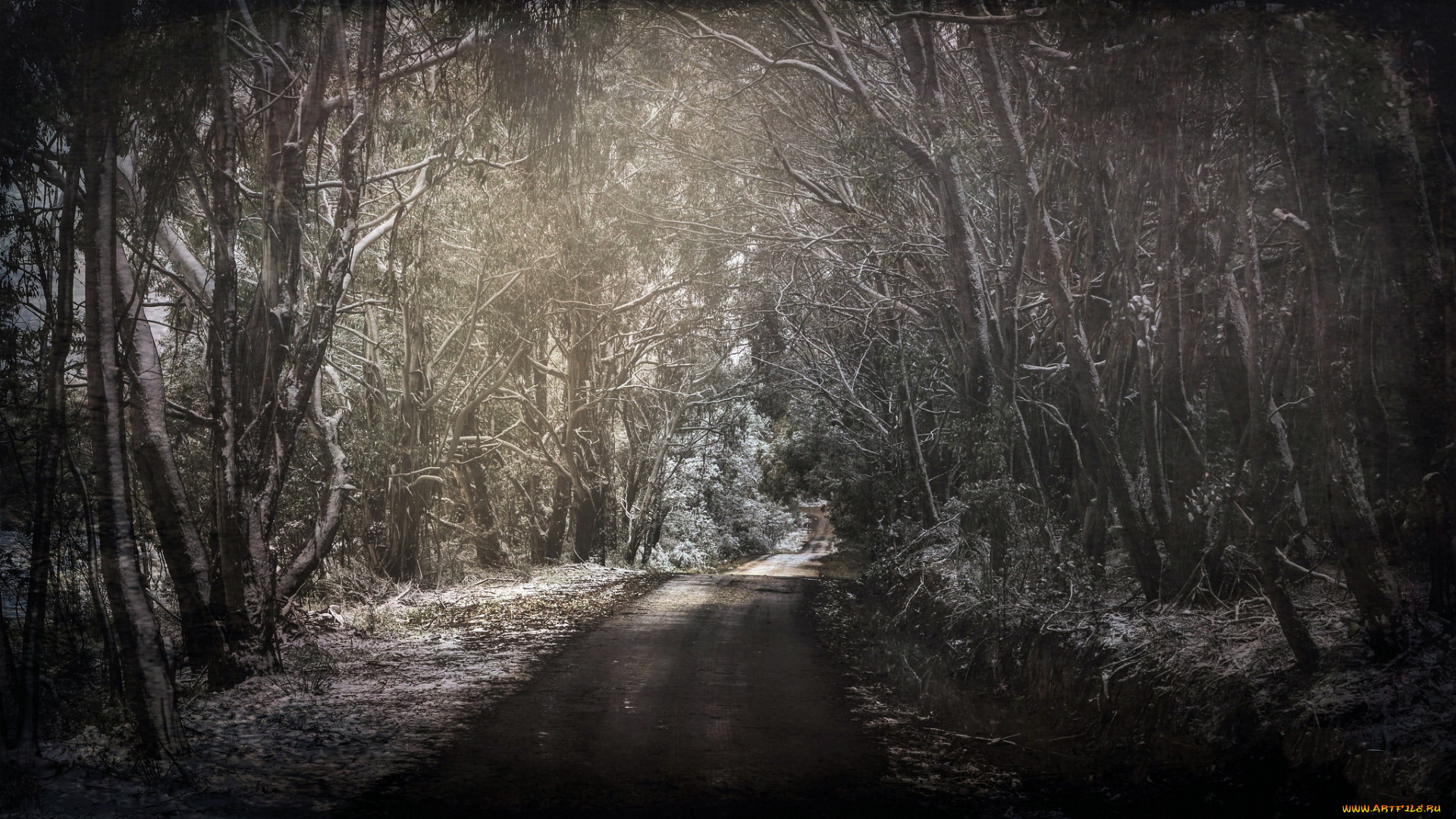 природа, дороги, лес, дорога, весна