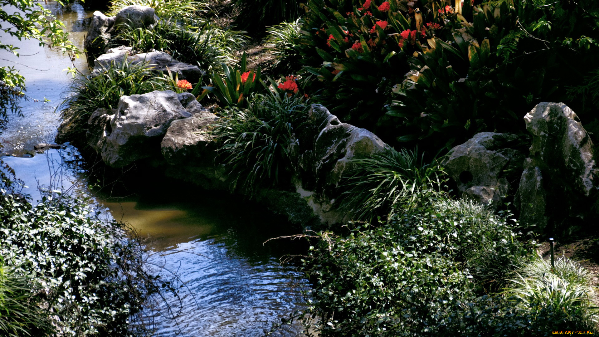 природа, парк, пруд