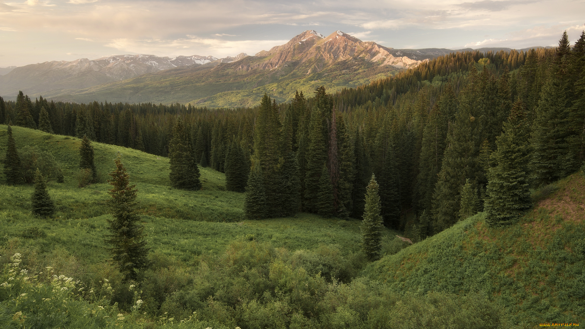 природа, пейзажи, простор