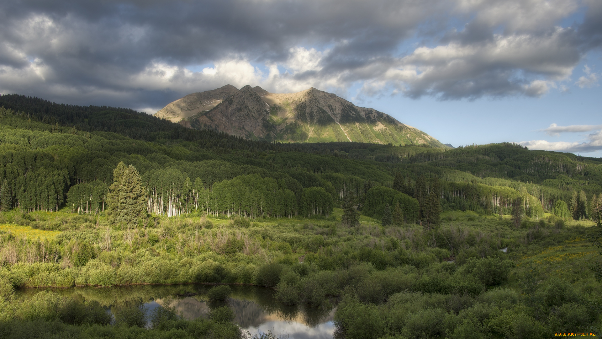 природа, пейзажи, простор