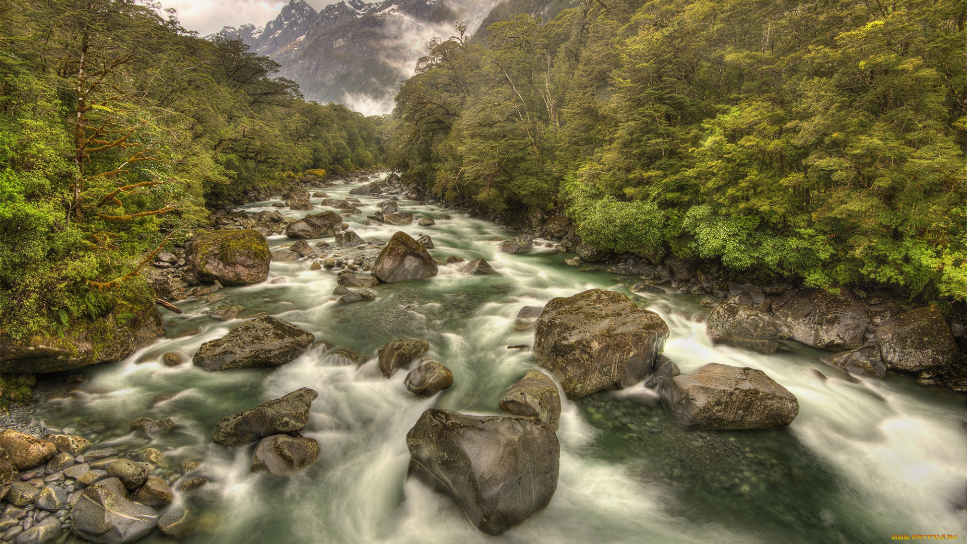 природа, реки, озера, простор