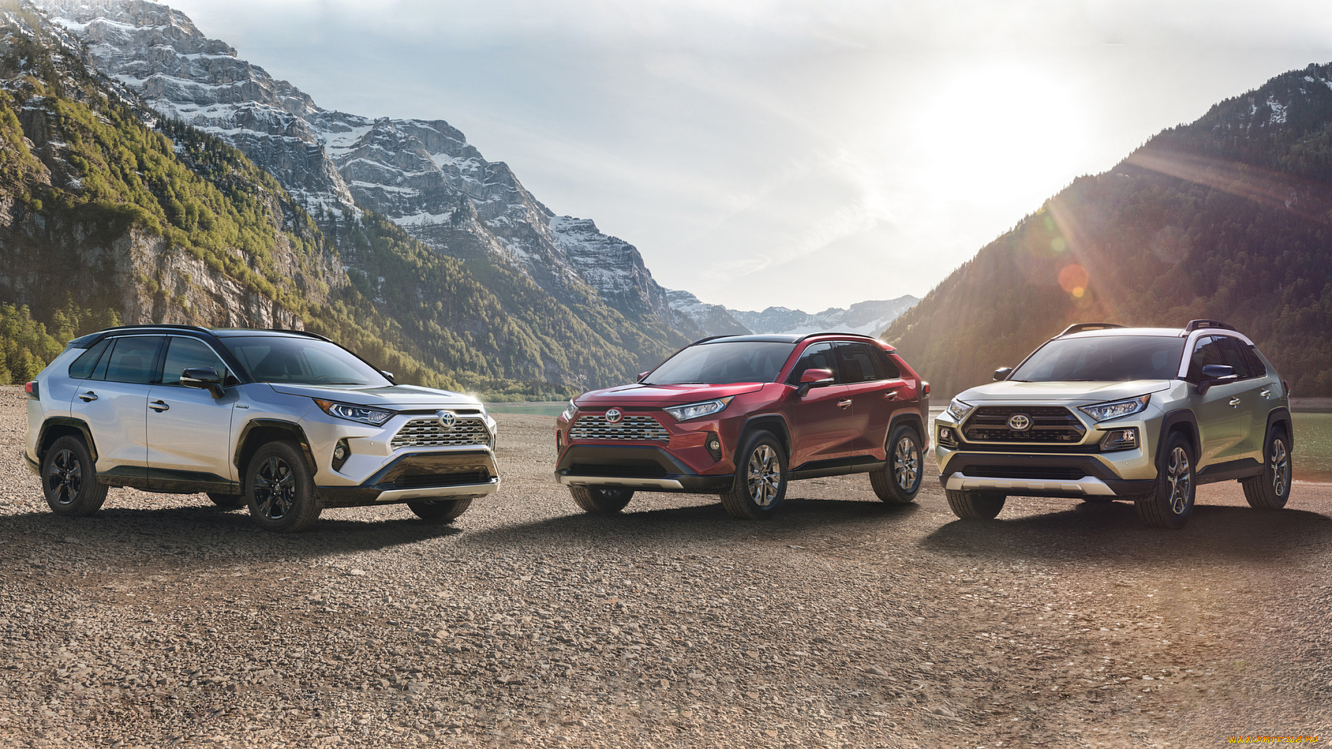 toyota, rav4, 2019, автомобили, toyota, crossover, rav4, 2019