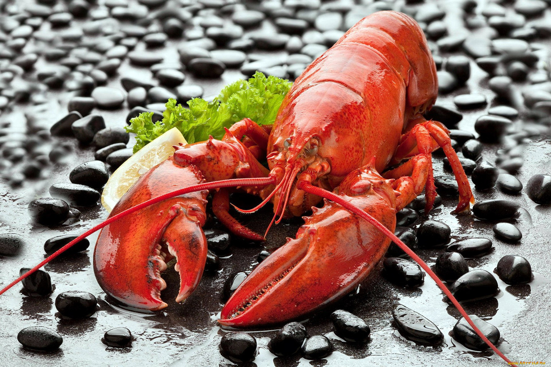 еда, рыба, , морепродукты, , суши, , роллы, лобстер