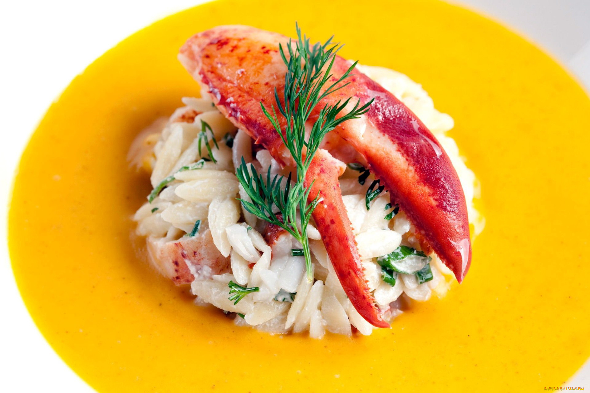 еда, рыбные, блюда, , с, морепродуктами, лобстер