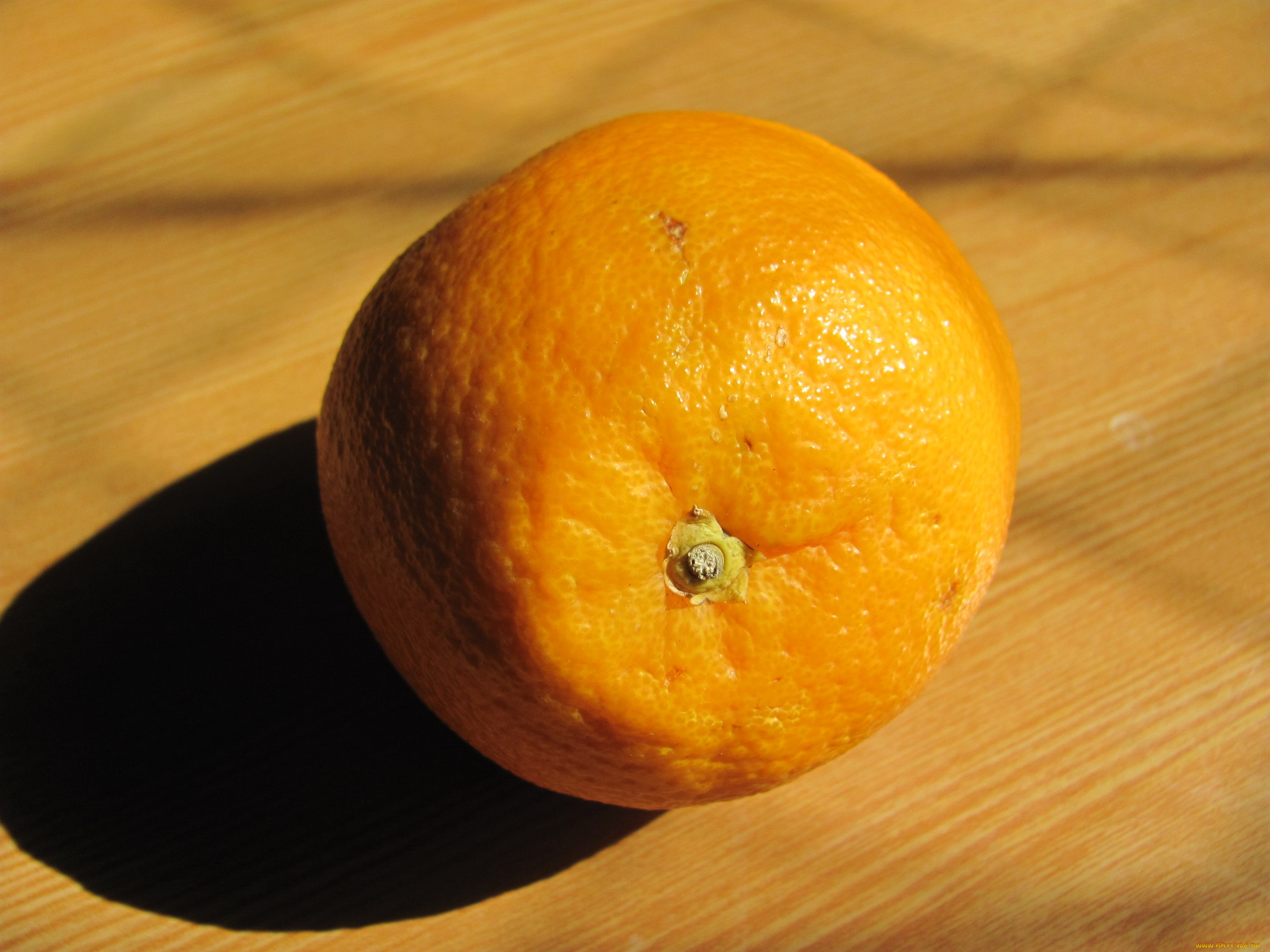 еда, цитрусы, апельсин