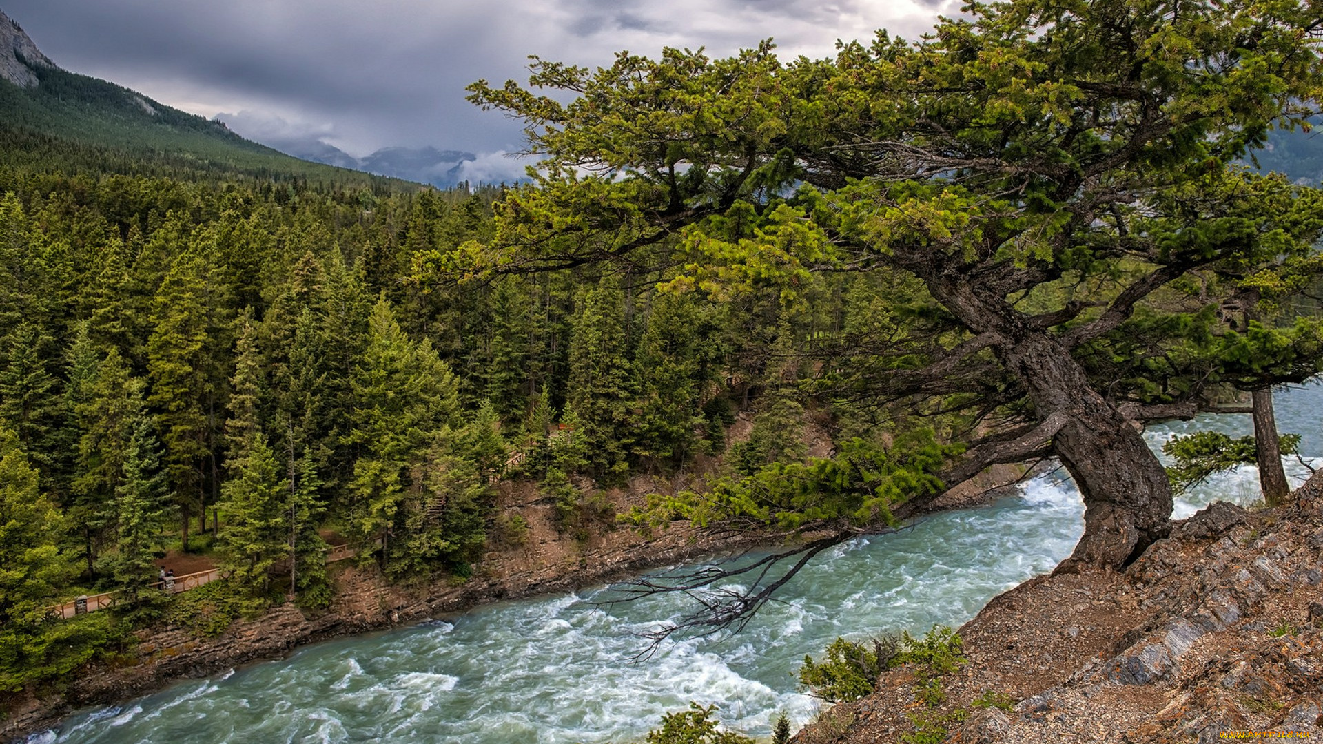 природа, реки, озера, простор