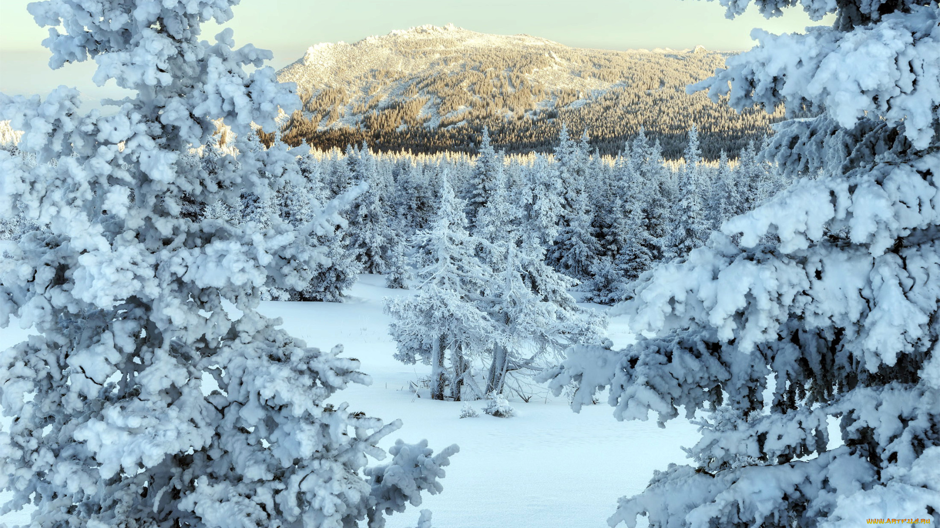 природа, зима, снег