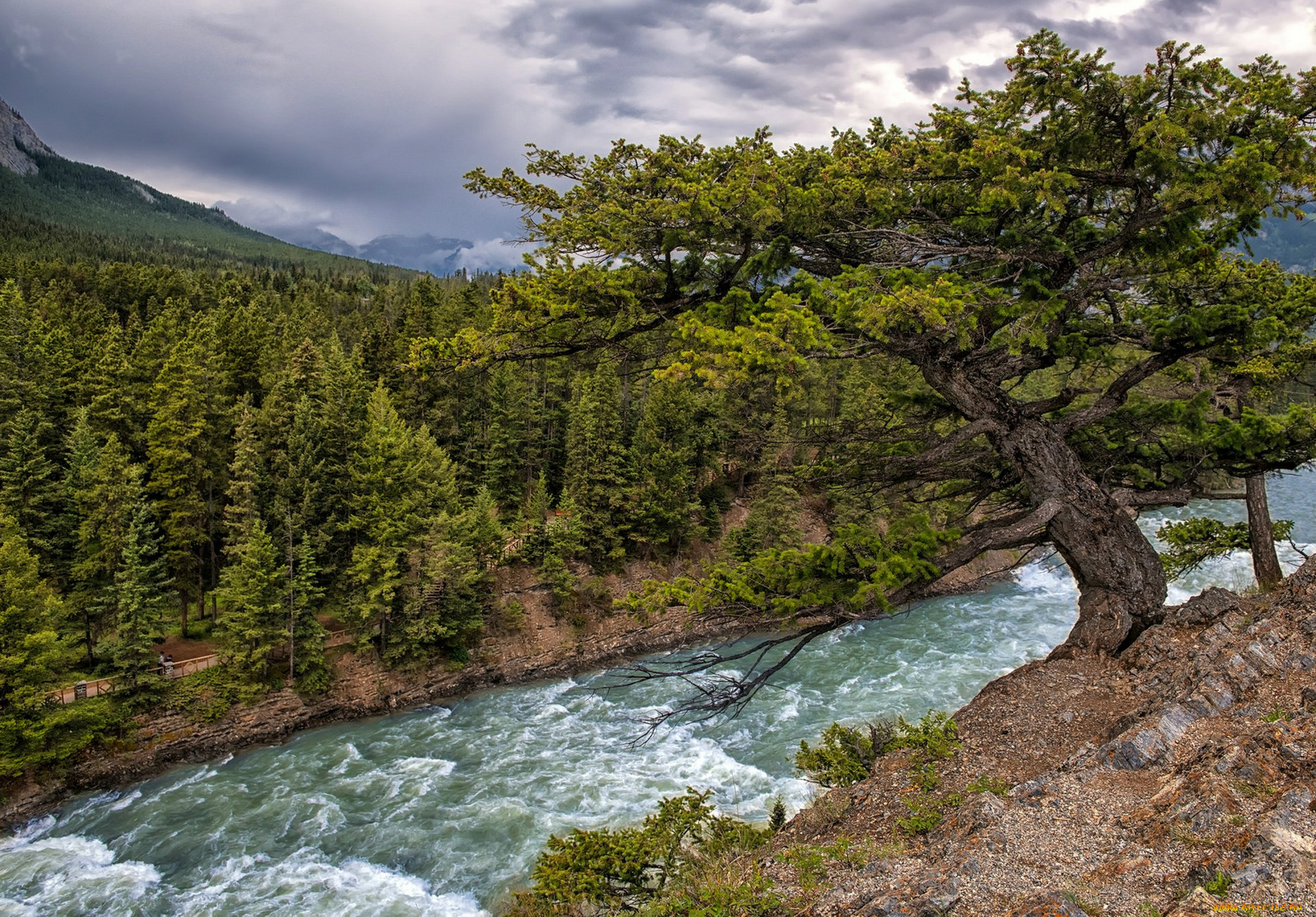 природа, реки, озера, простор