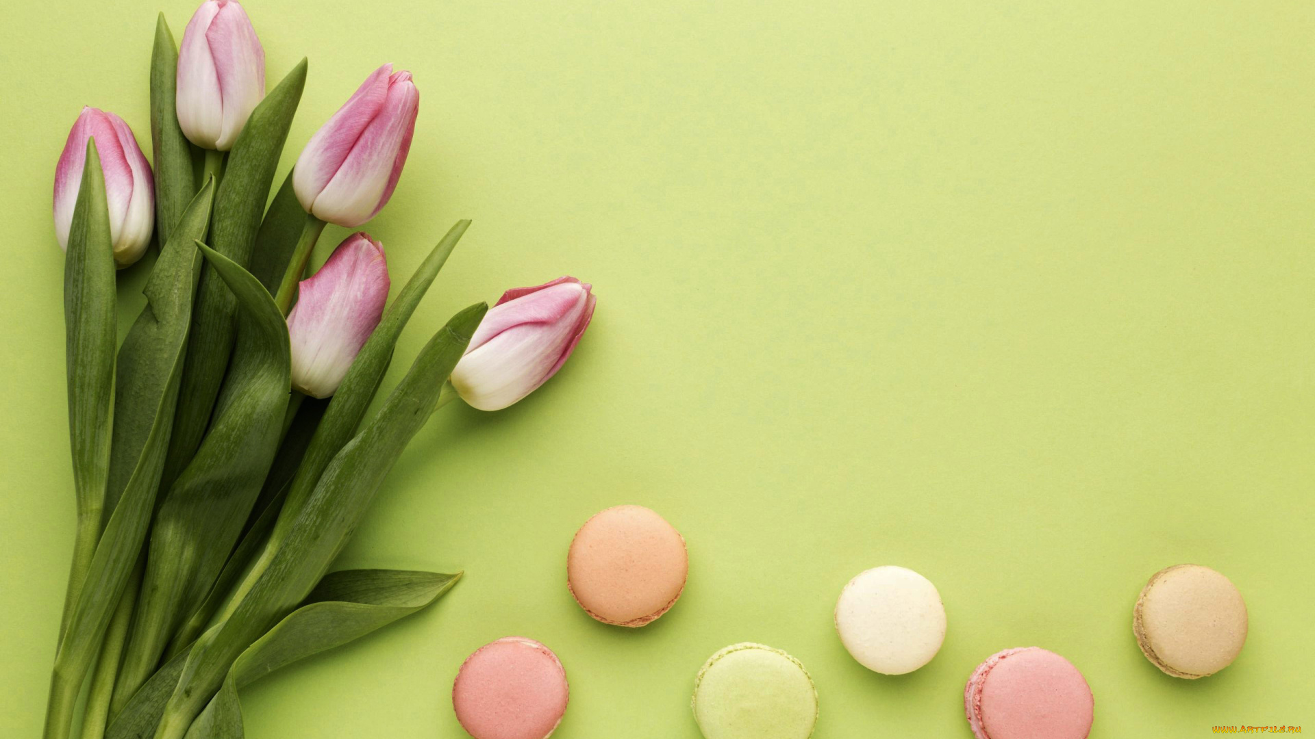 еда, макаруны, тюльпаны