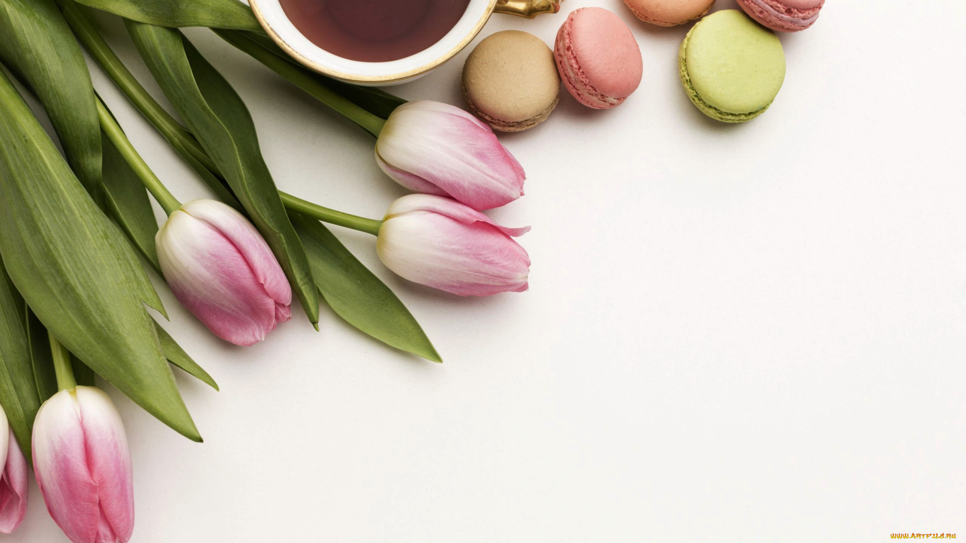 еда, макаруны, тюльпаны, кофе