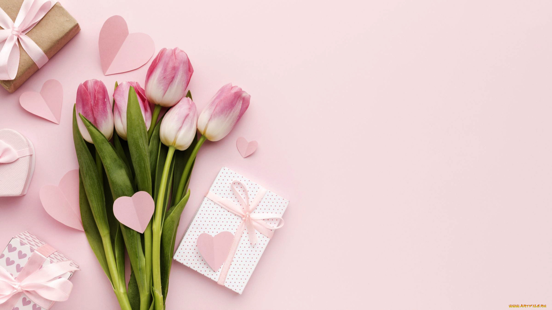 праздничные, подарки, и, коробочки, тюльпаны, подарок, лента, бант