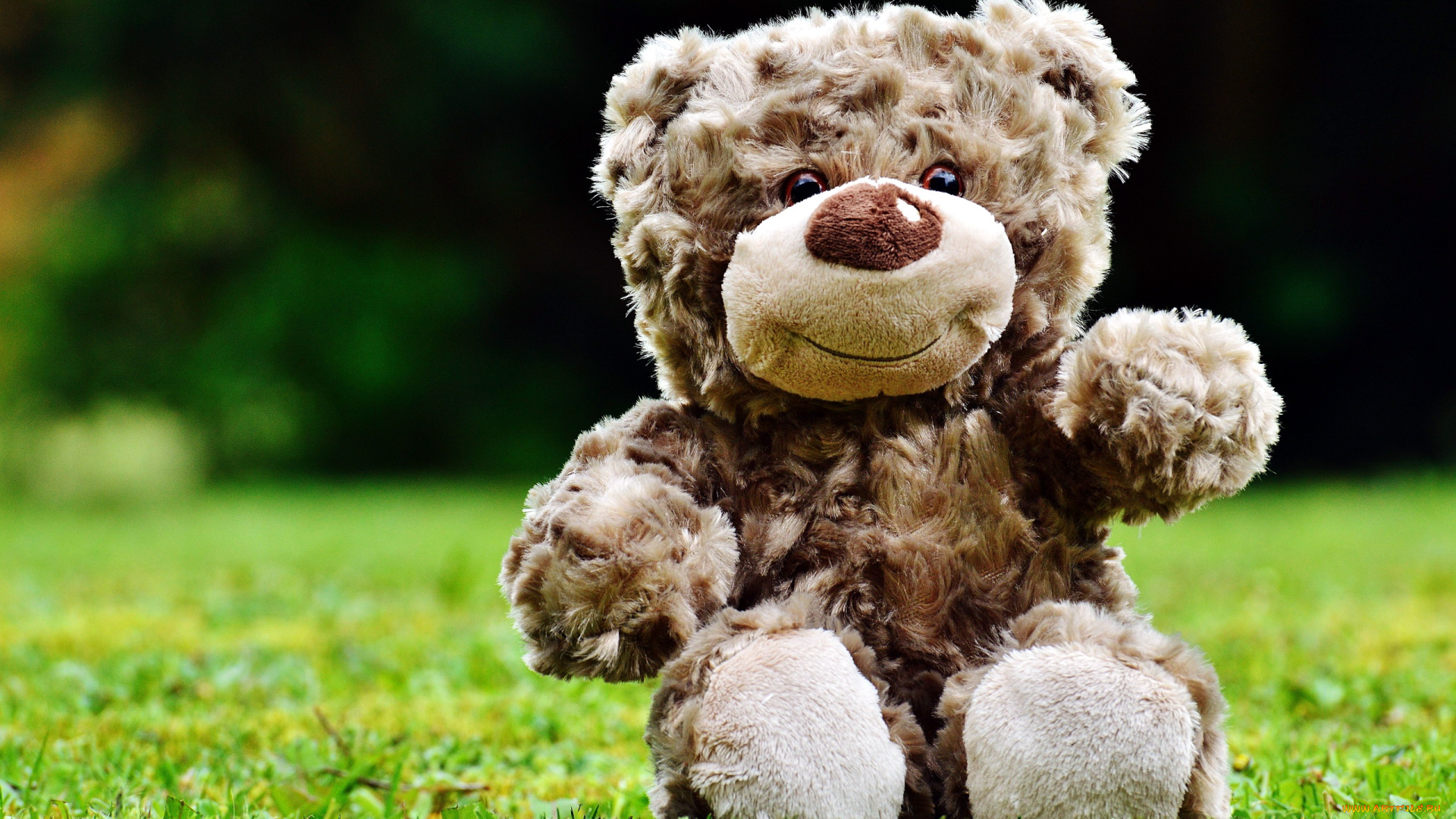 разное, игрушки, медвежонок