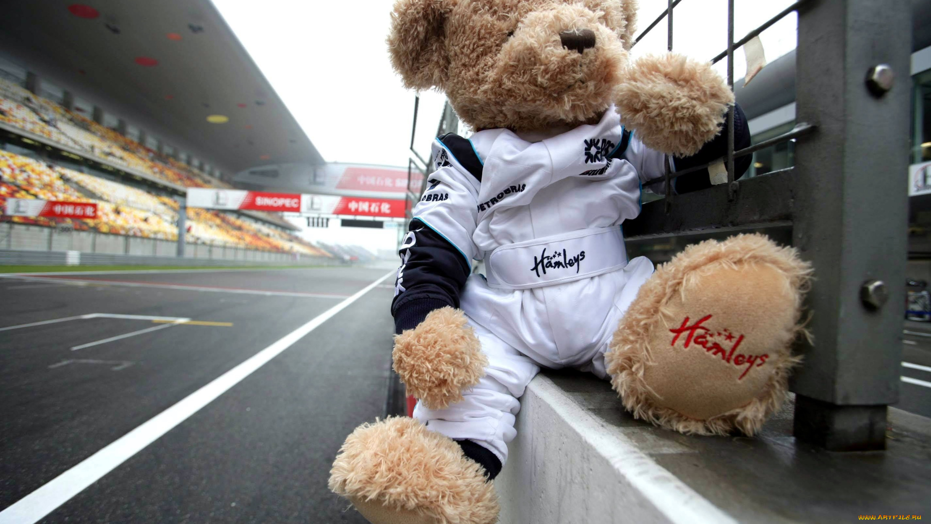 разное, игрушки, медвежонок