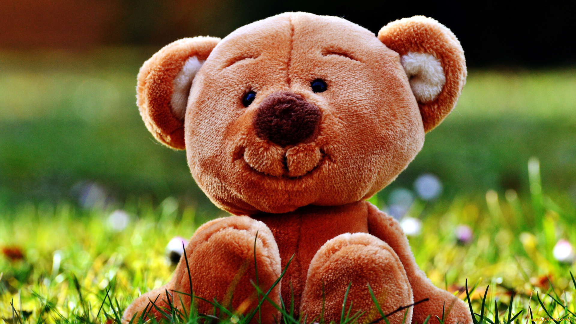 разное, игрушки, медвежонок