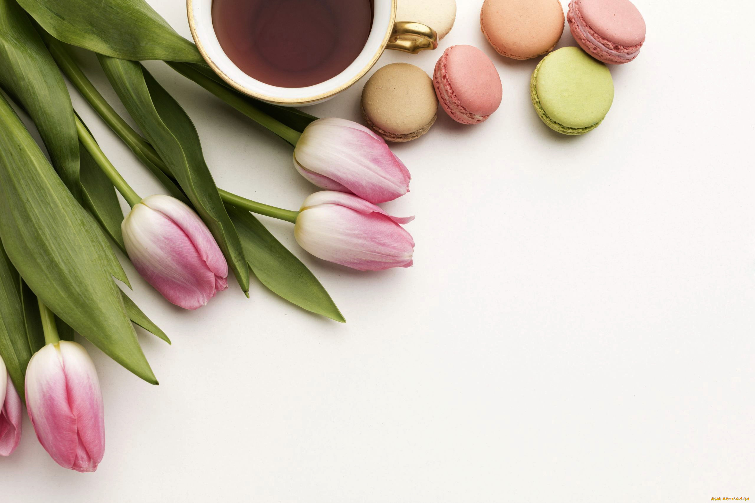 еда, макаруны, тюльпаны, кофе