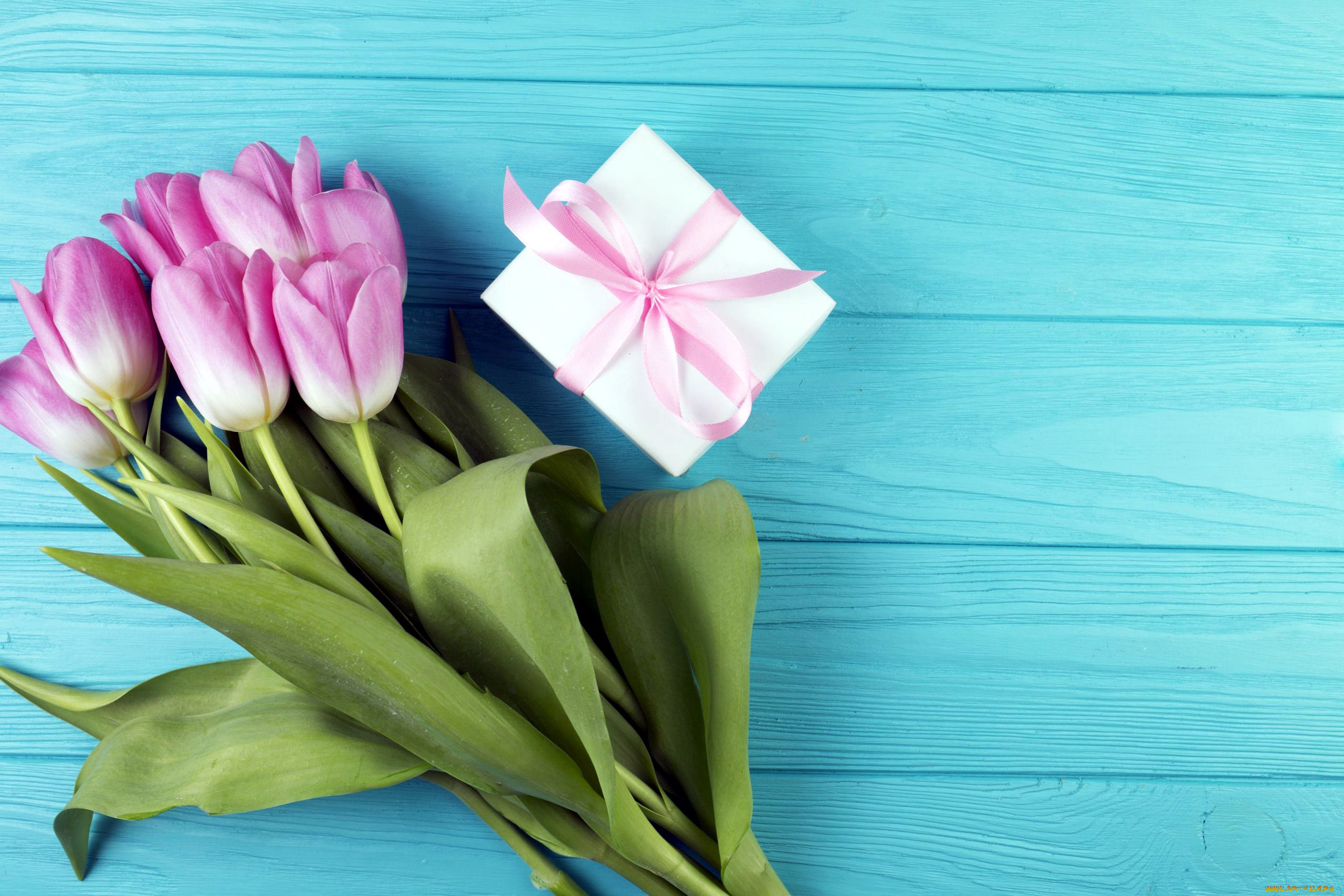 праздничные, подарки, и, коробочки, тюльпаны, подарок, лента, бант